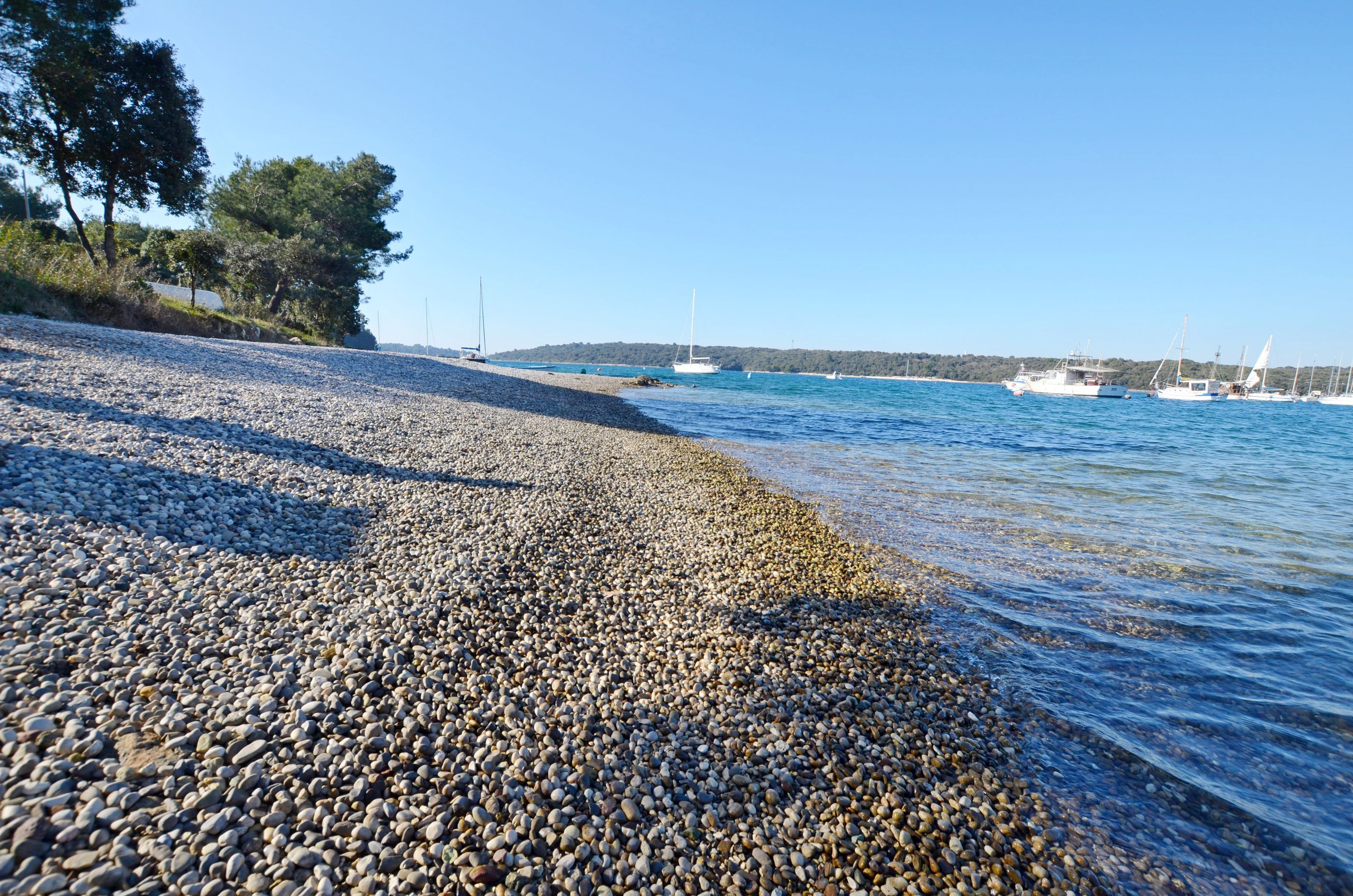 Photo of Apartments A2JASS 