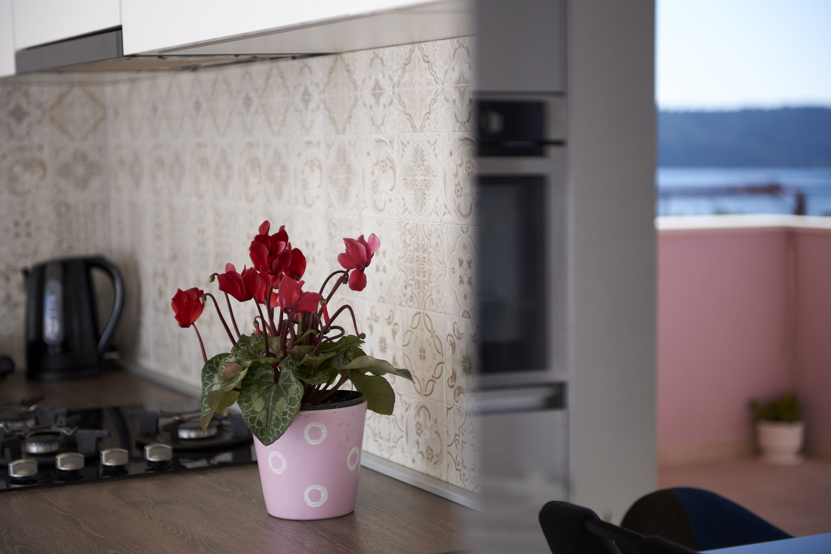 Apartment Tomi 115471-A1