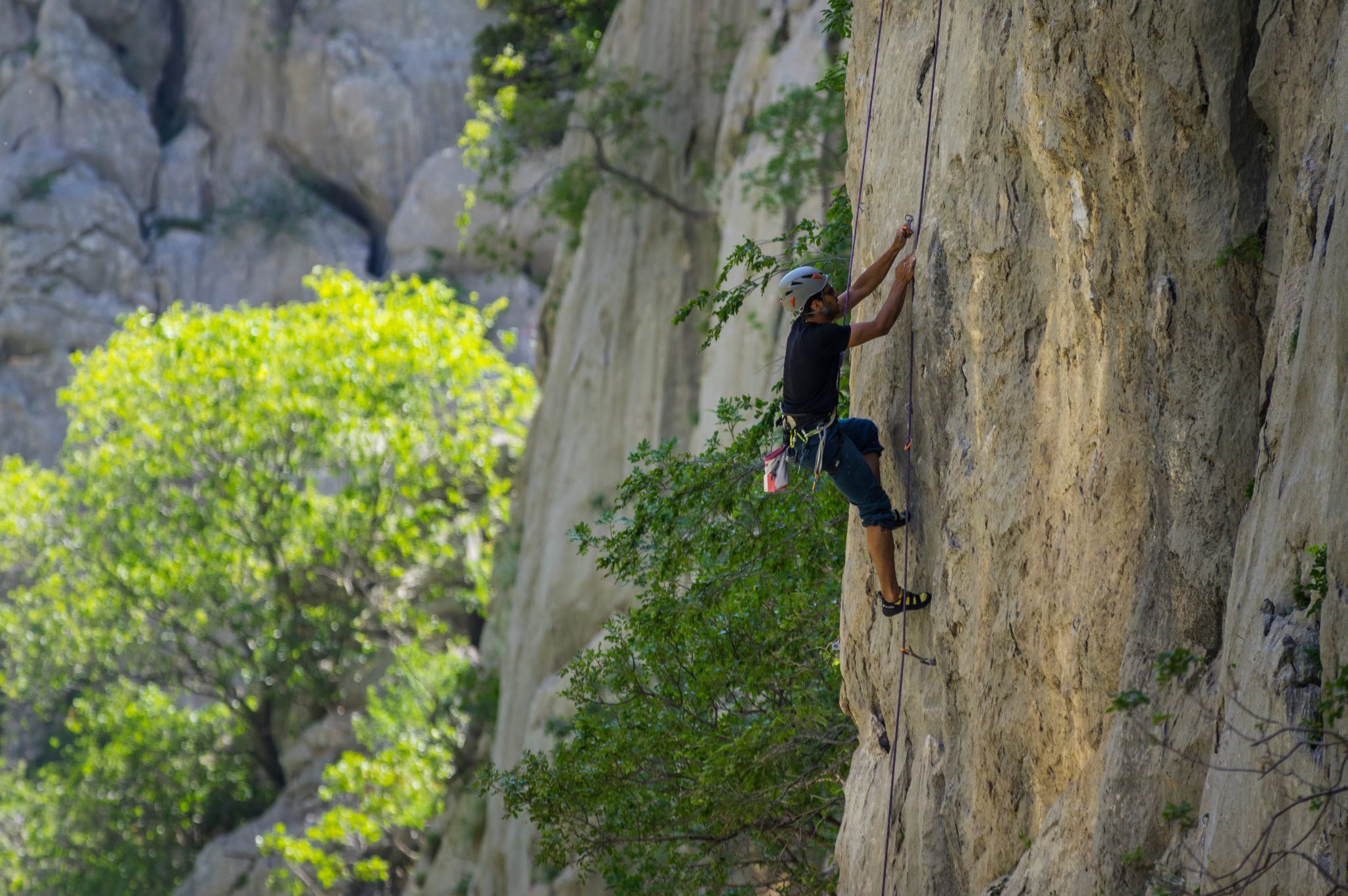 Photo of Apartment Agava