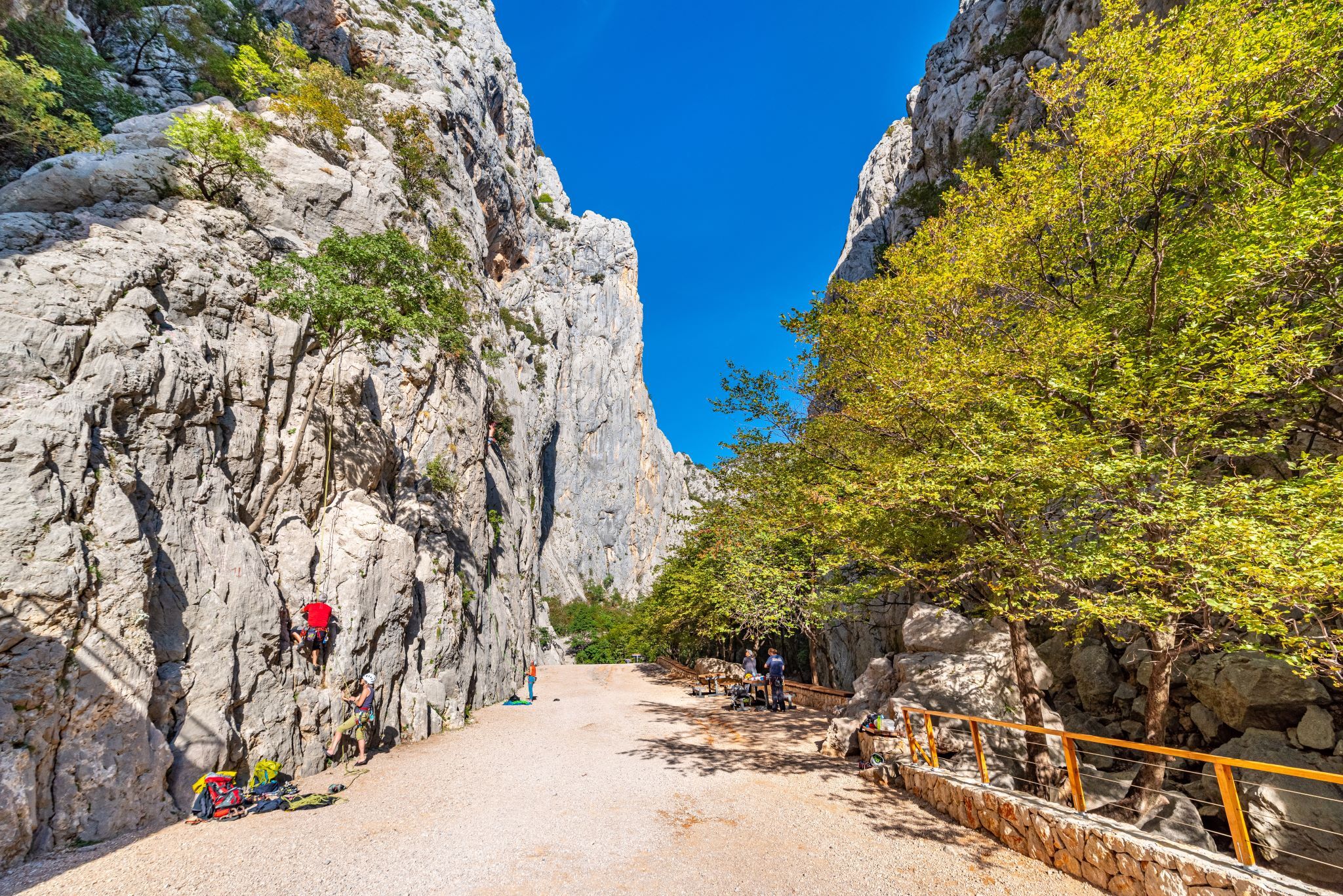 Photo of Apartment Agava