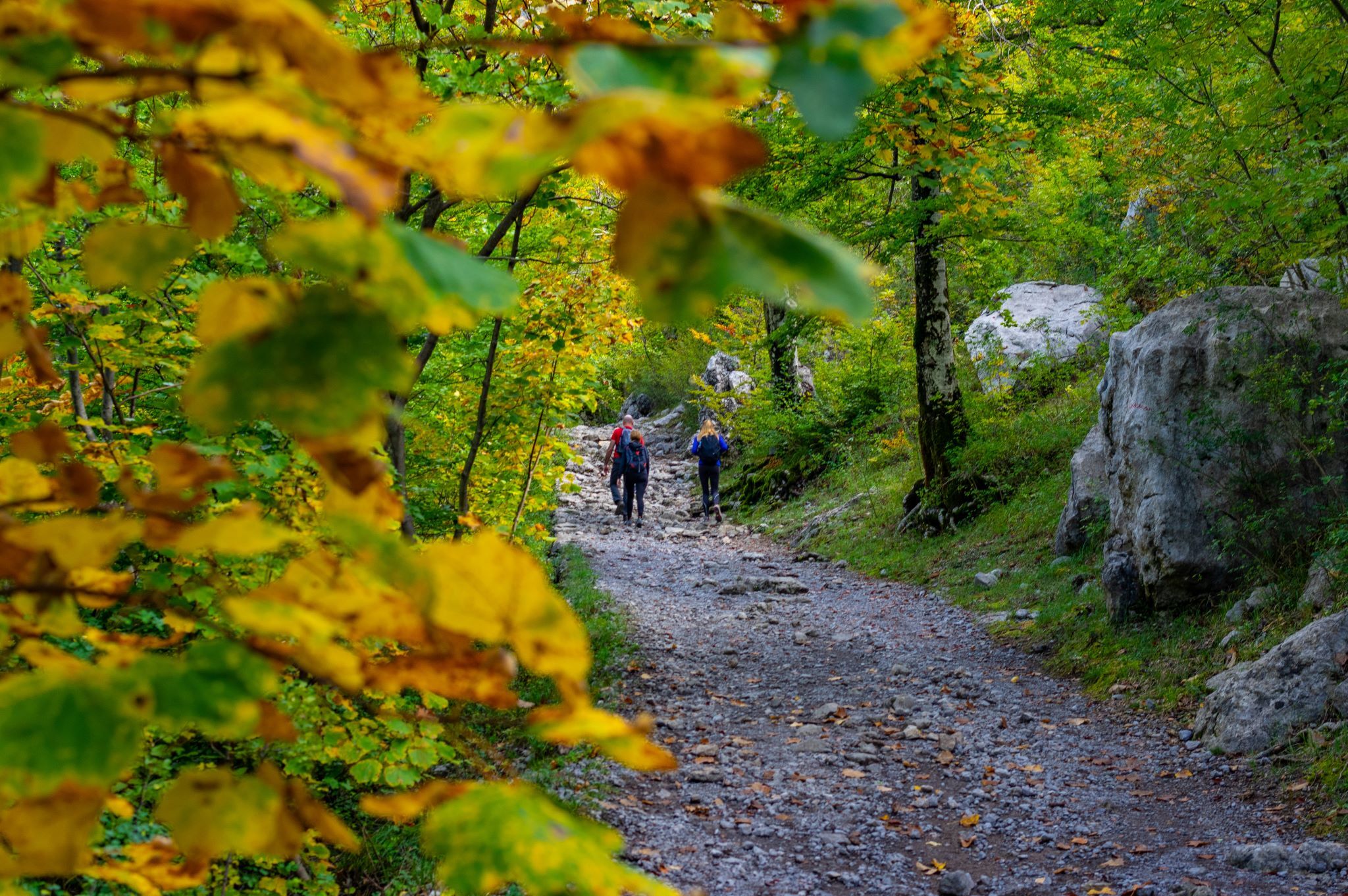 Photo of Apartment Agava