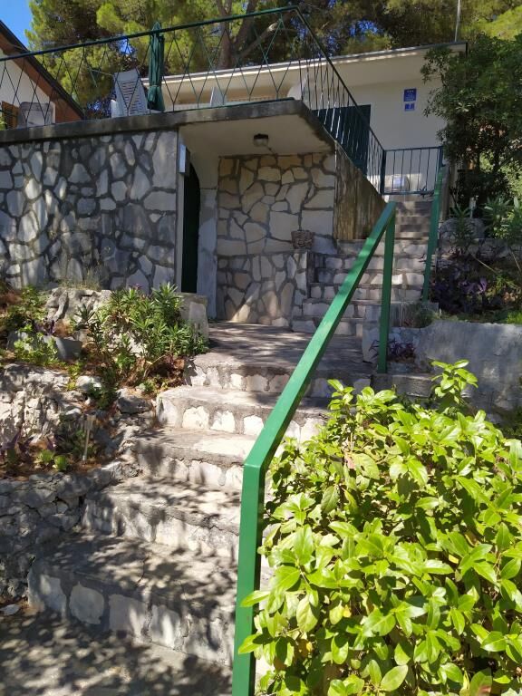 House Vlasta 108161-K1