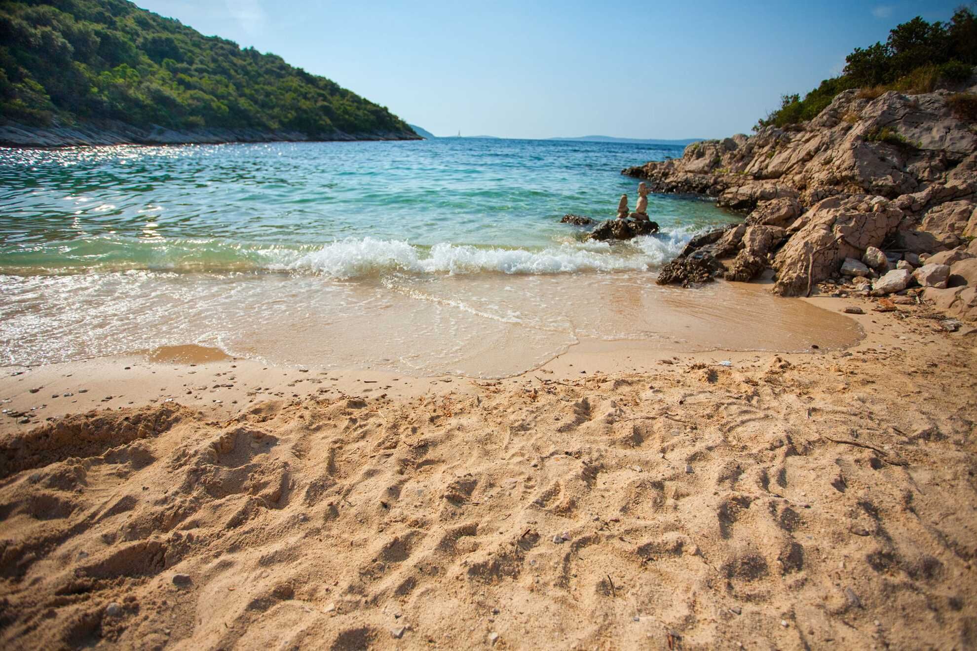 House Ani 107161-K1