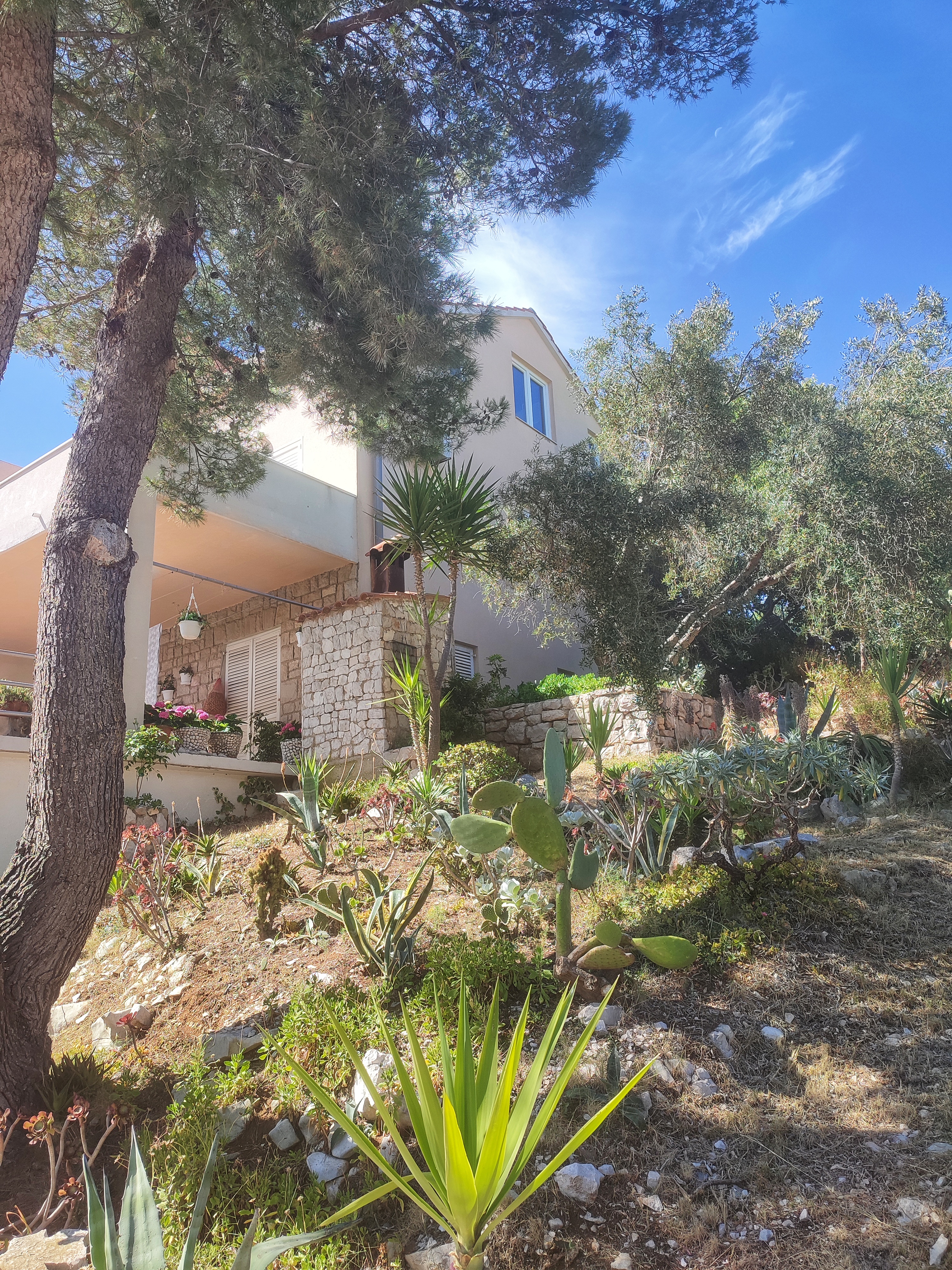Apartments Vesna 53751-A3