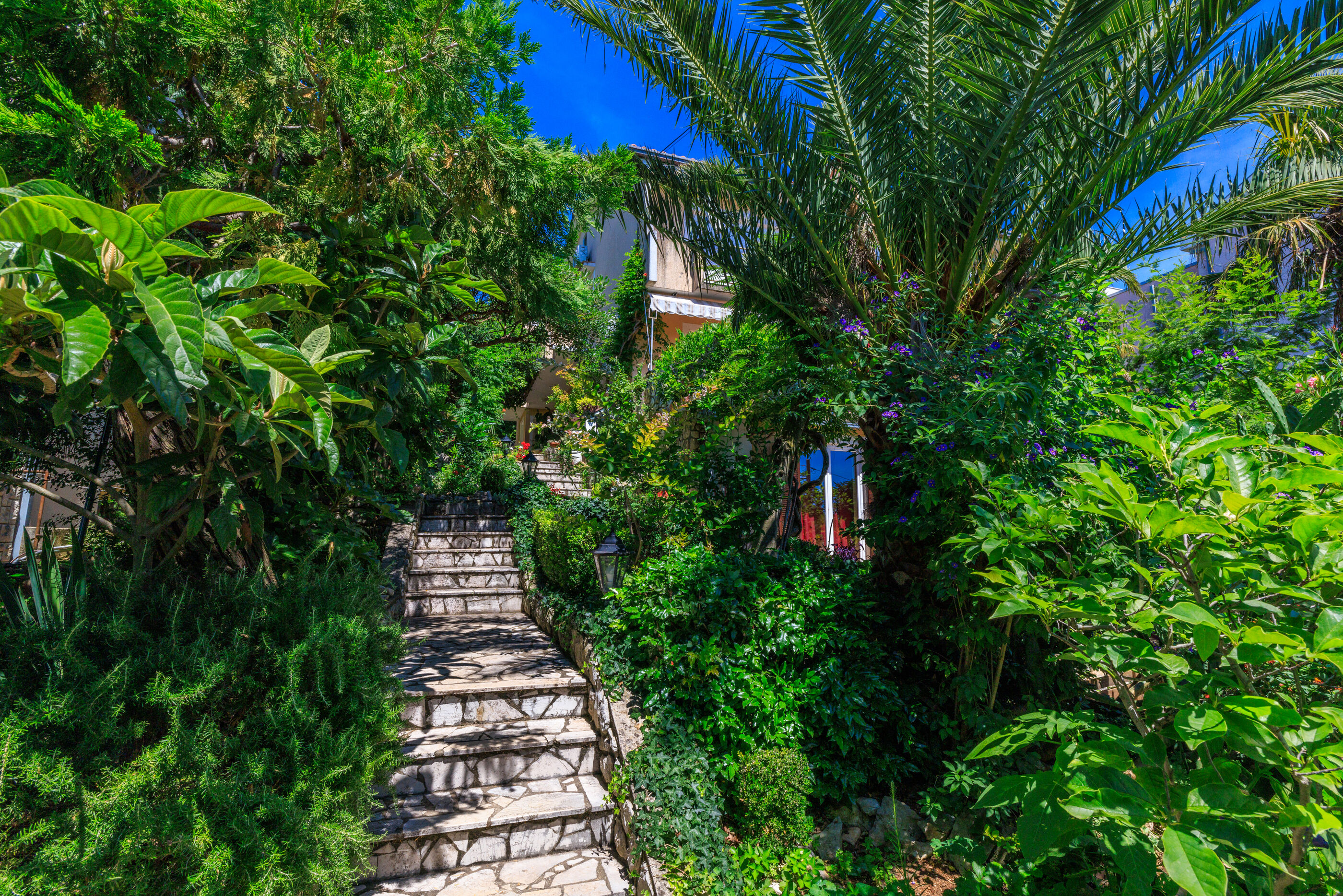 Apartments and Room Mirjana 86871-A3