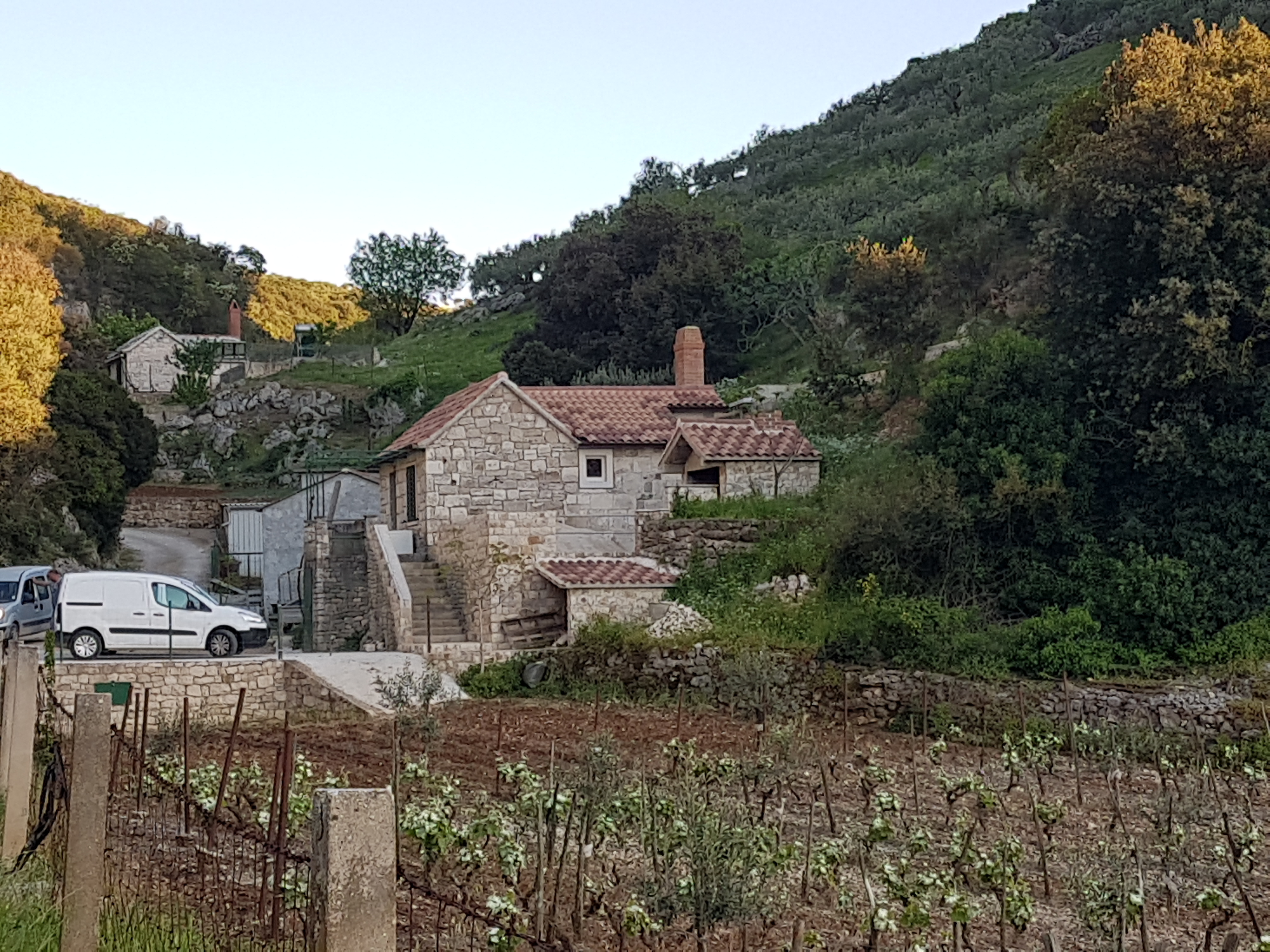 House CVITINA 76811-K1