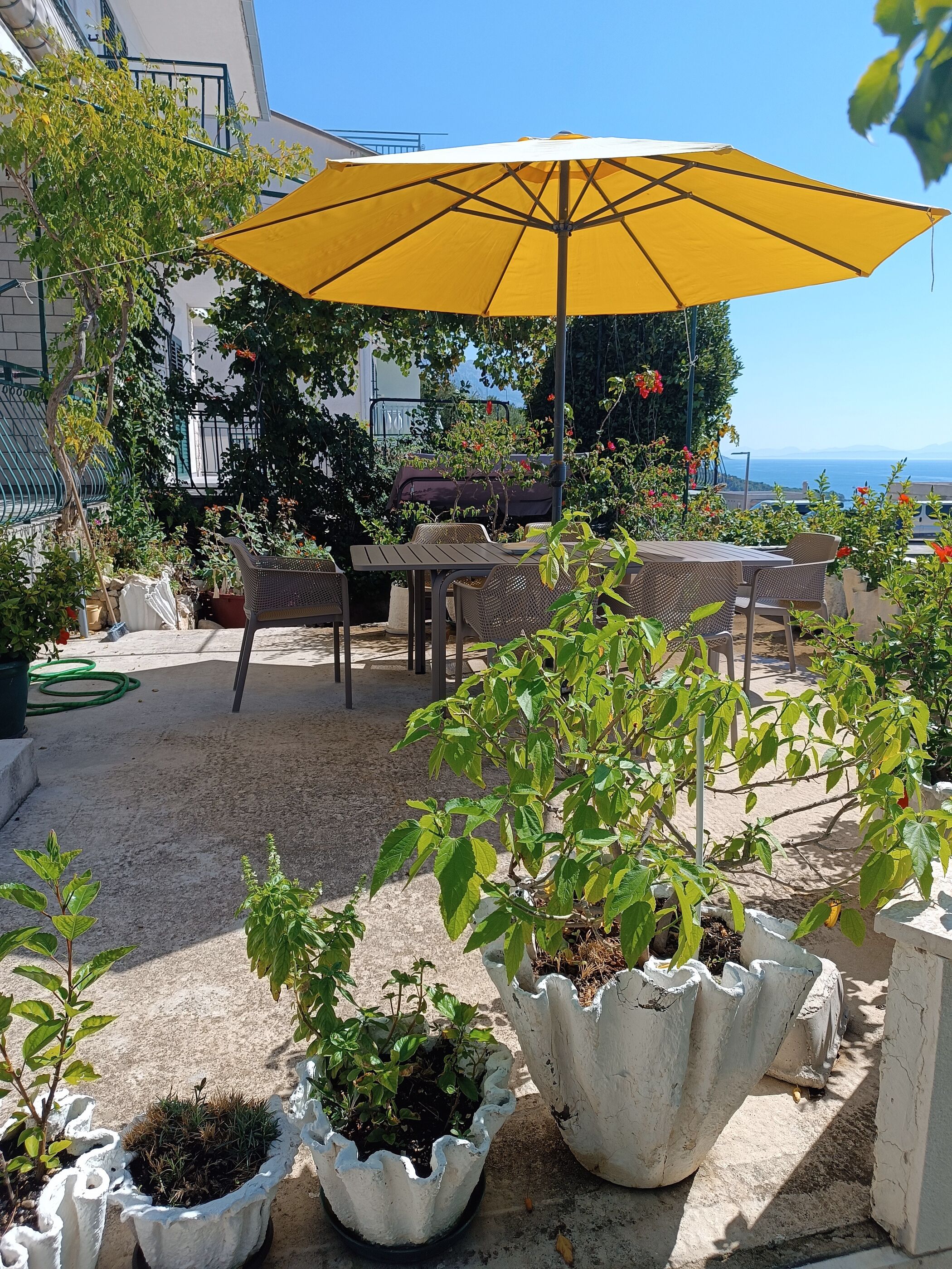 Apartment Ante 106731-A1
