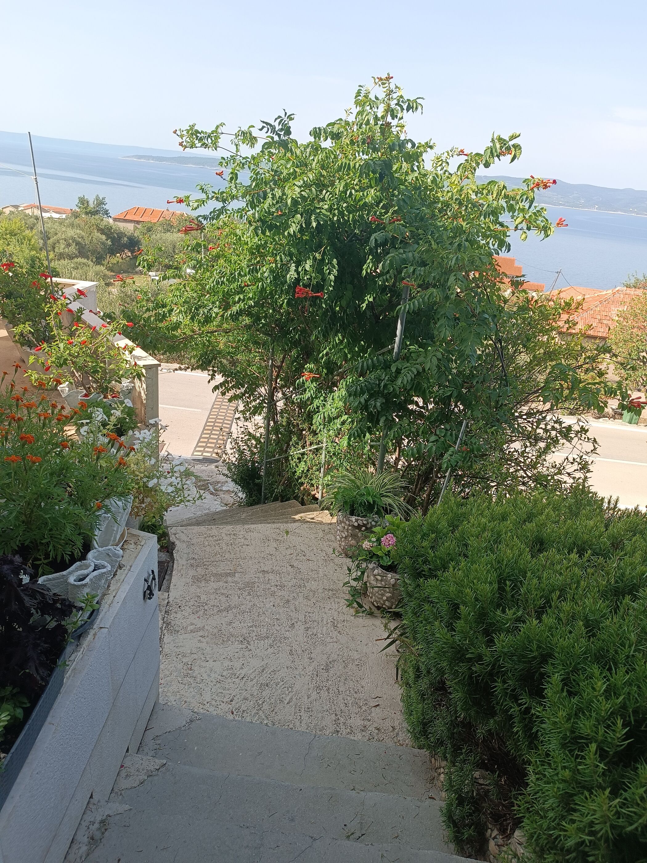 Apartment Ante 106731-A1