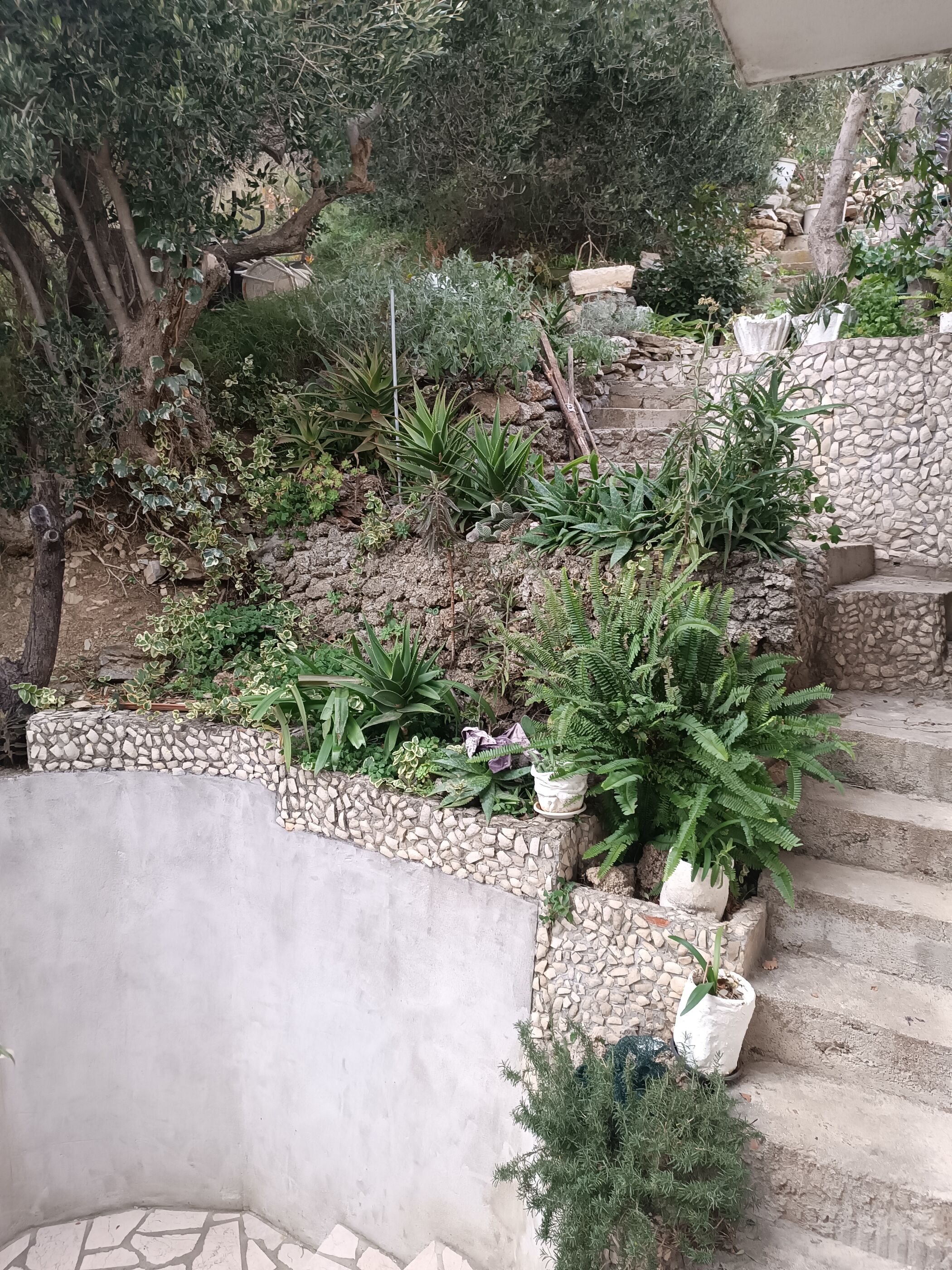 Apartment Ante 106731-A2