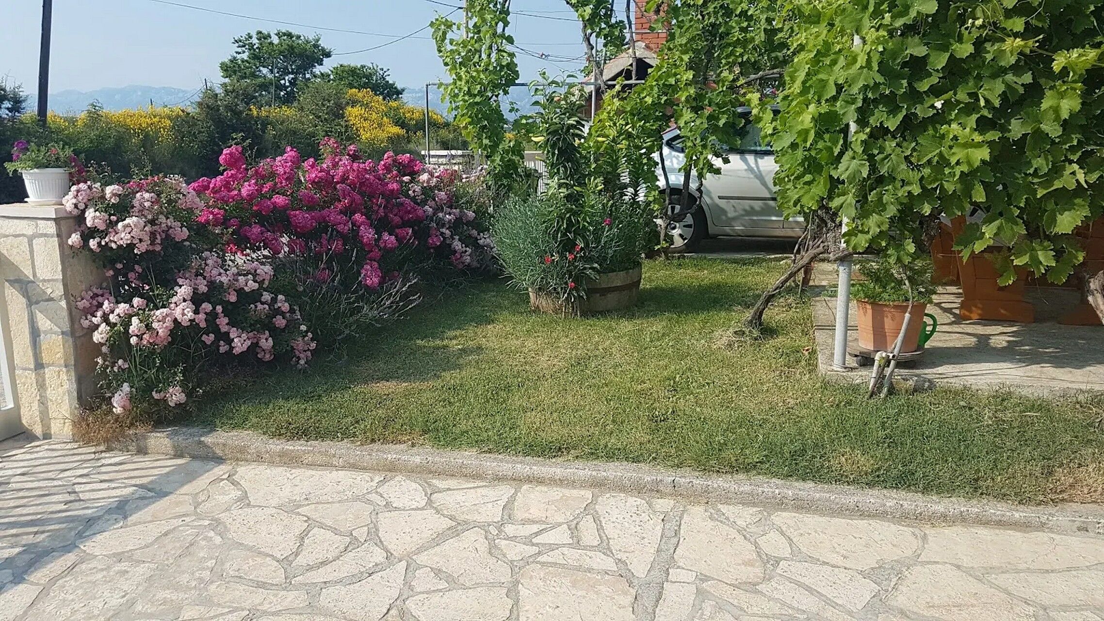 Apartment Ivo 109341-A3