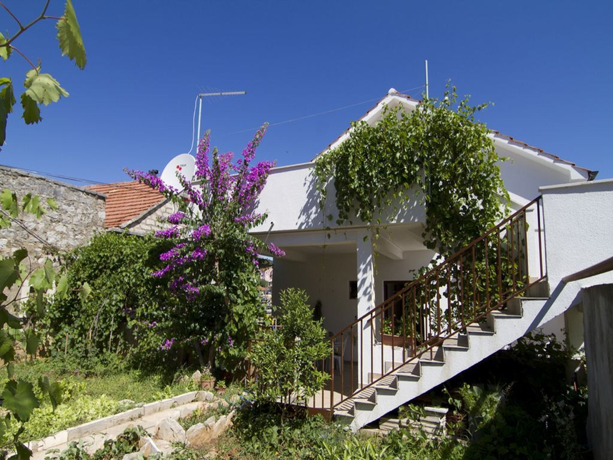 Apartments Jerko 16741-A2