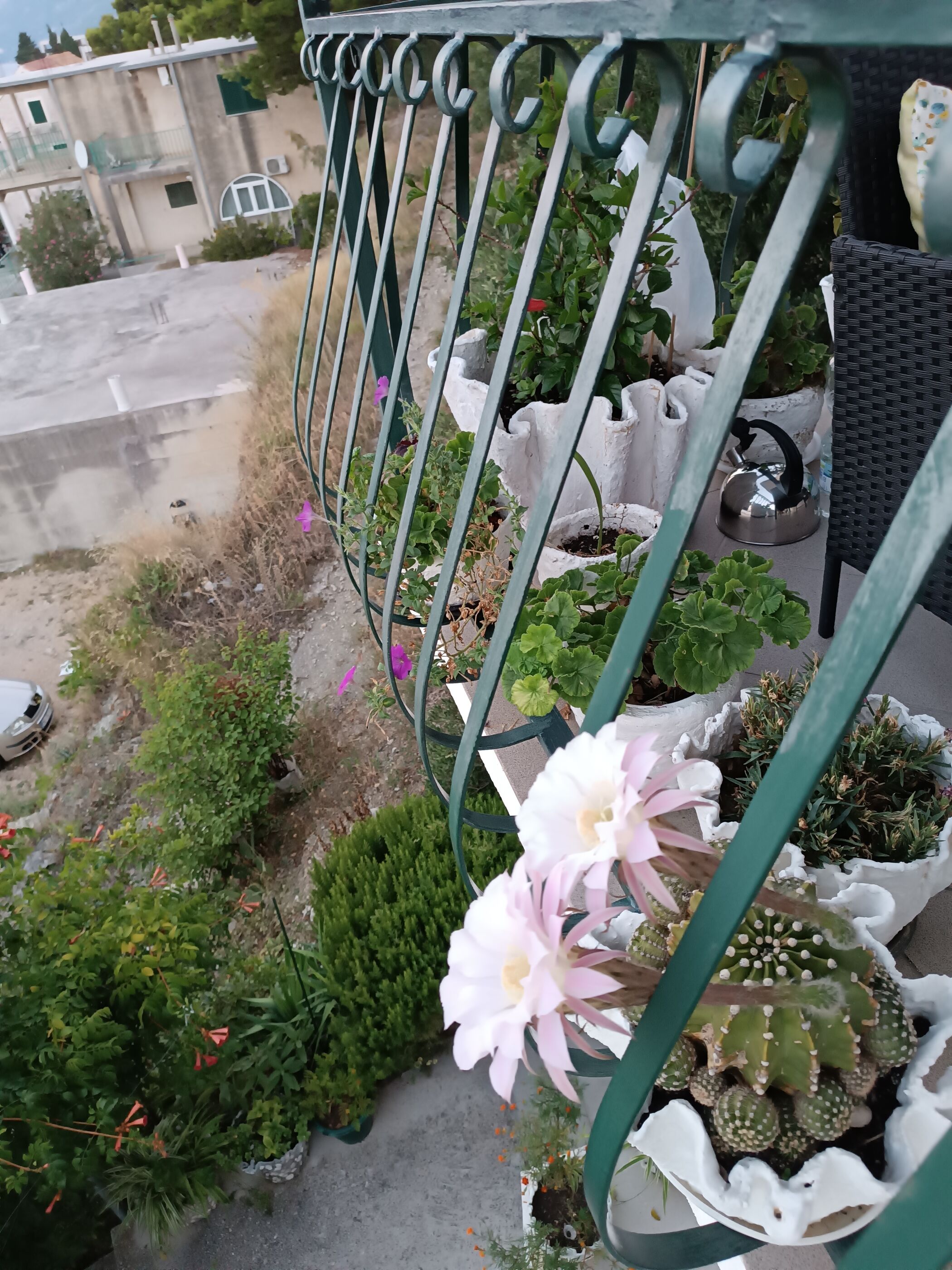 Apartment Ante 106731-A2