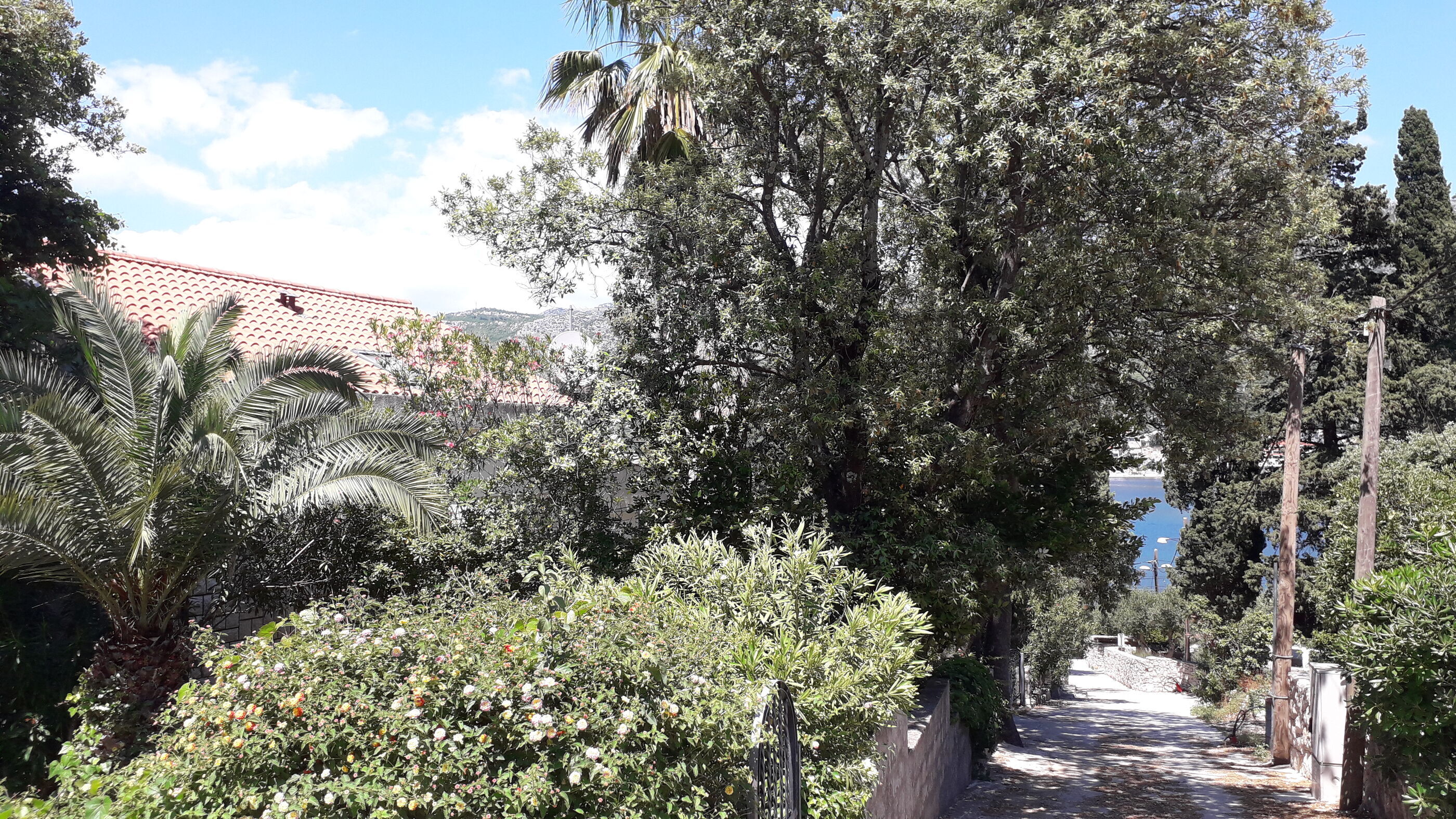 Apartments Marija 108871-A1