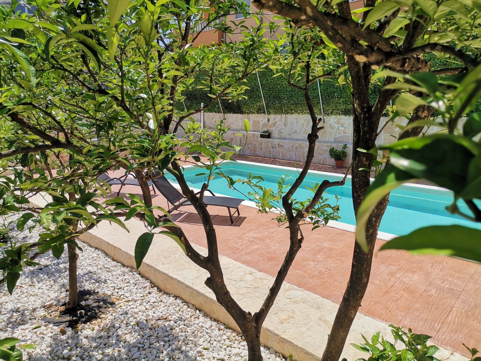 Apartments Piveta 115621-A1
