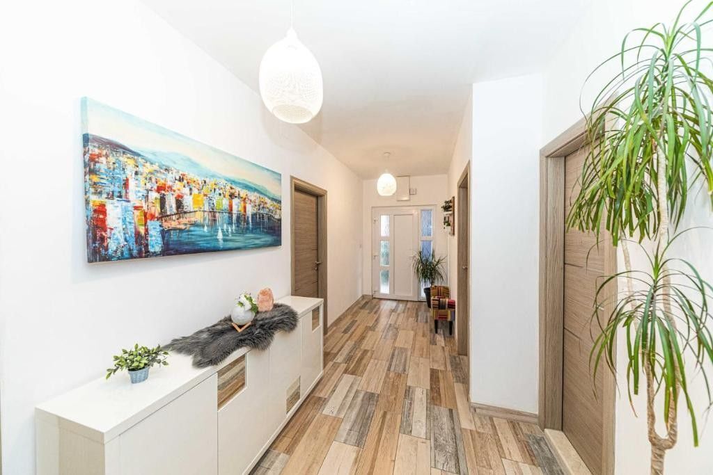 Apartments Piveta 115621-A2