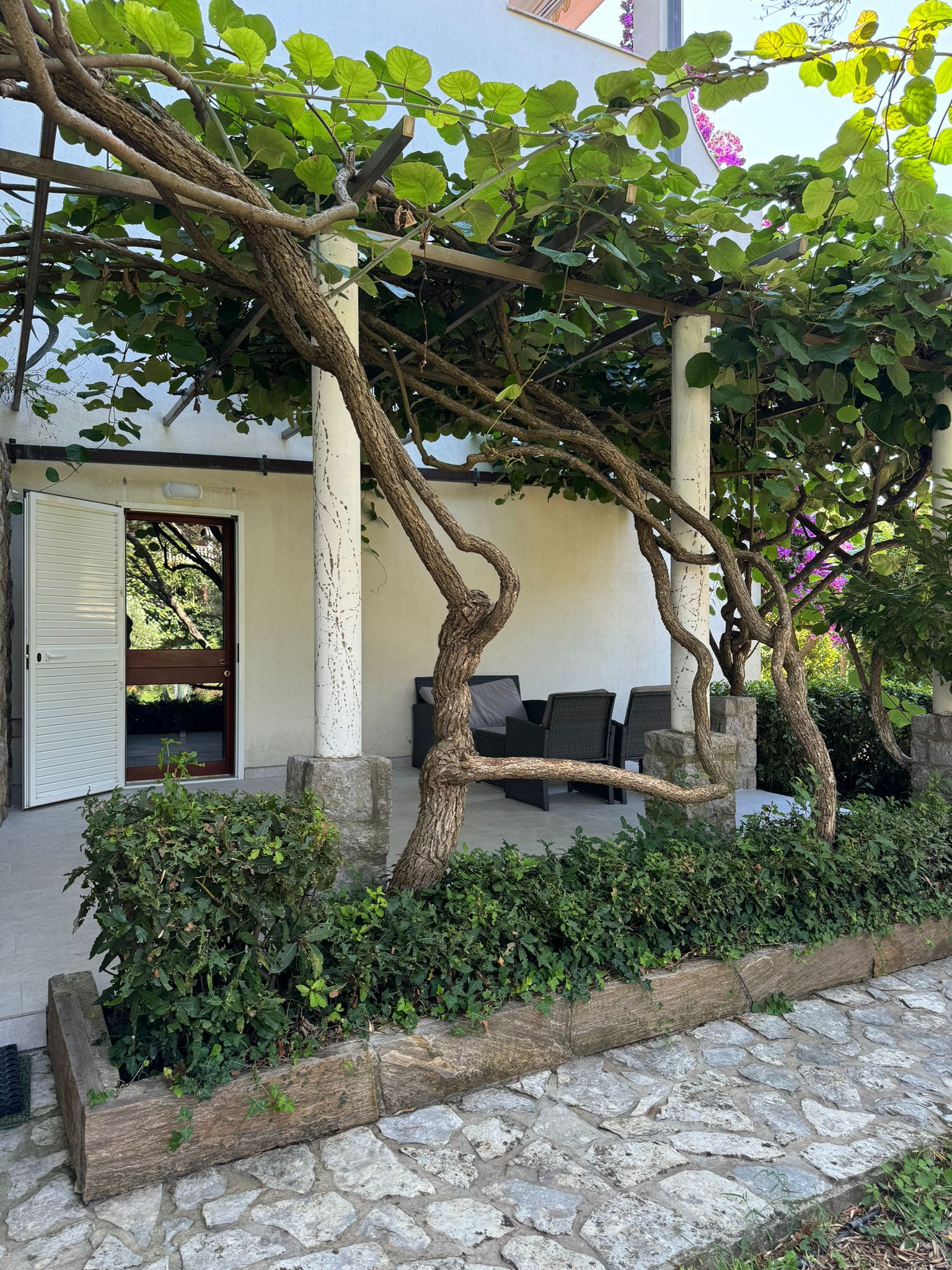 Apartment Kucer 18231-A1