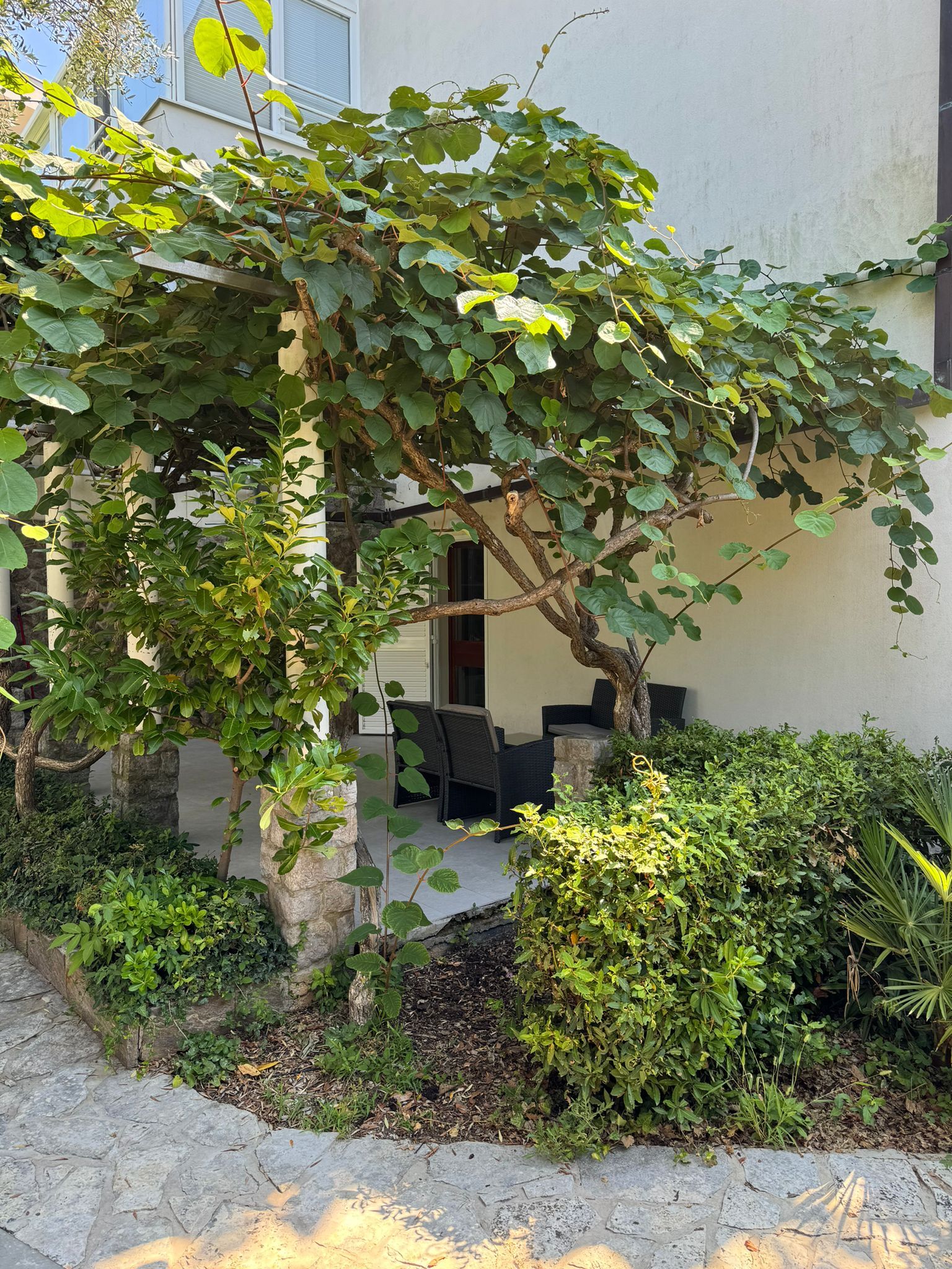 Apartment Kucer 18231-A1