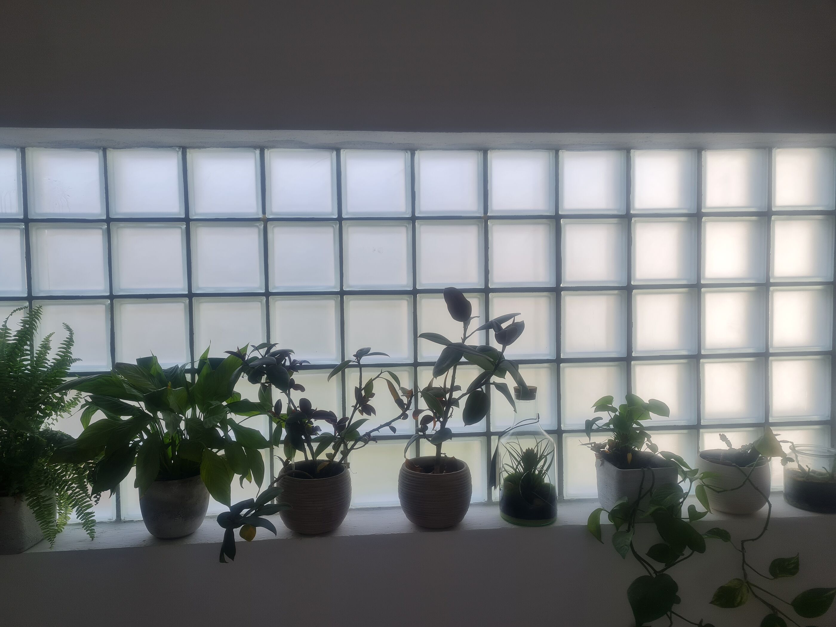 Photo of Apartment Anea