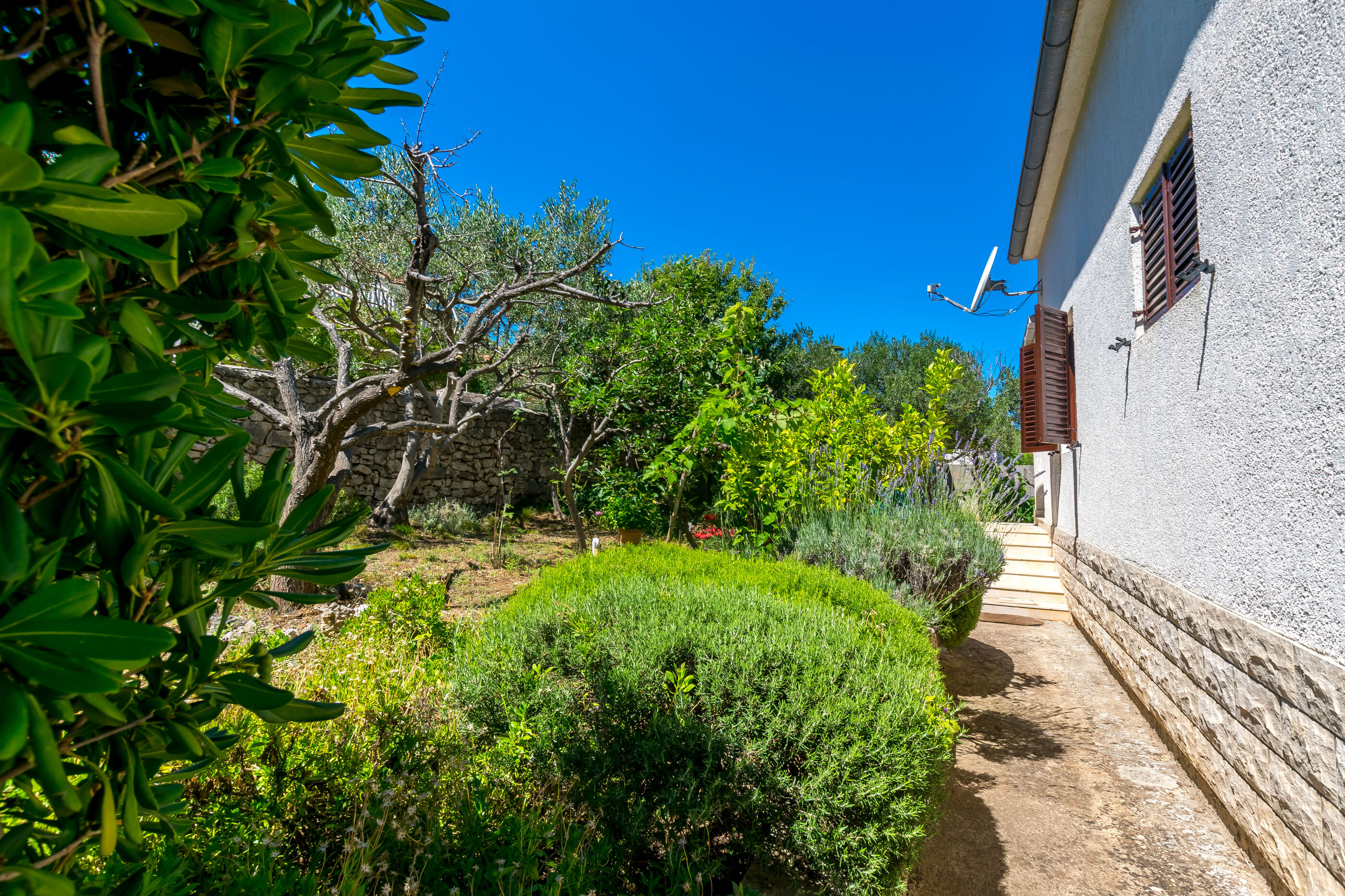 Apartments Vuli 94751-A1