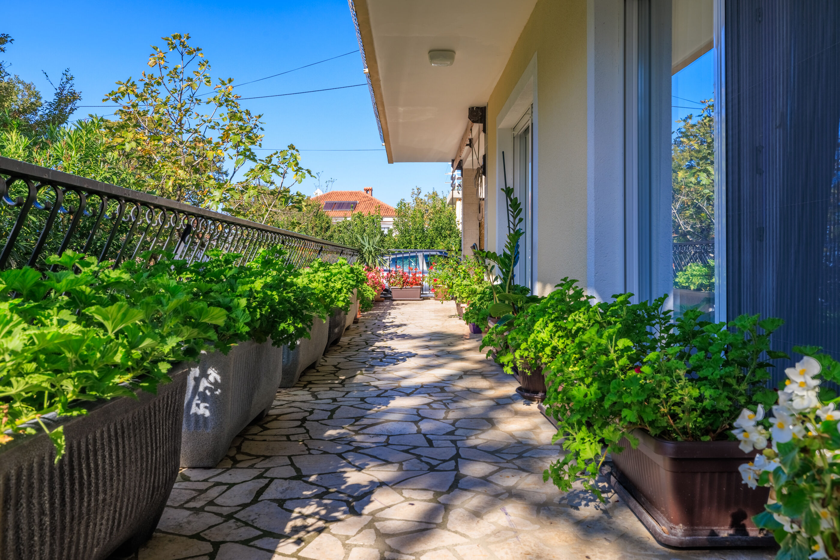 Apartments Pinty 62836-A1