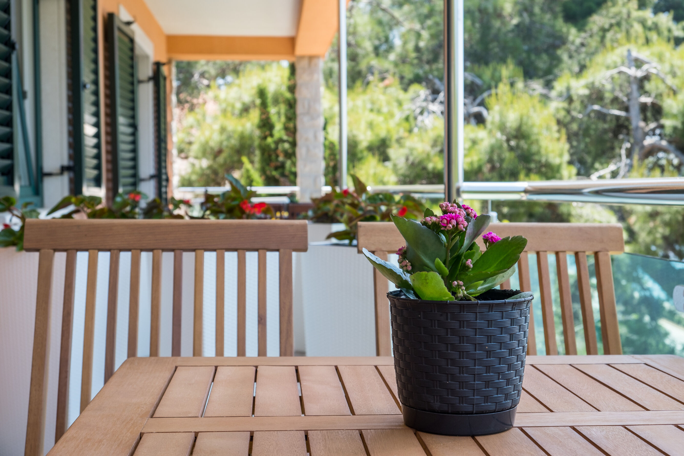 Apartments Villa Magnolia 115781-A4
