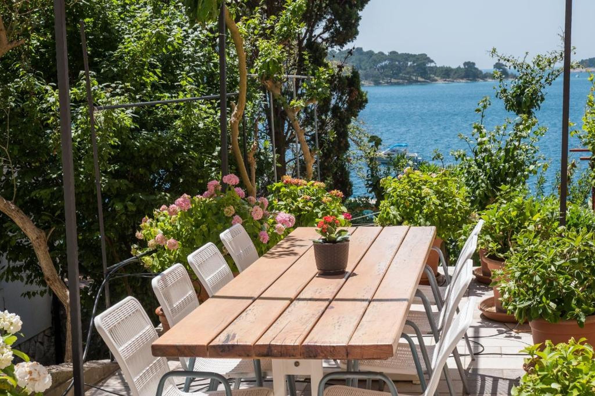 Apartments Villa Magnolia 115781-A2