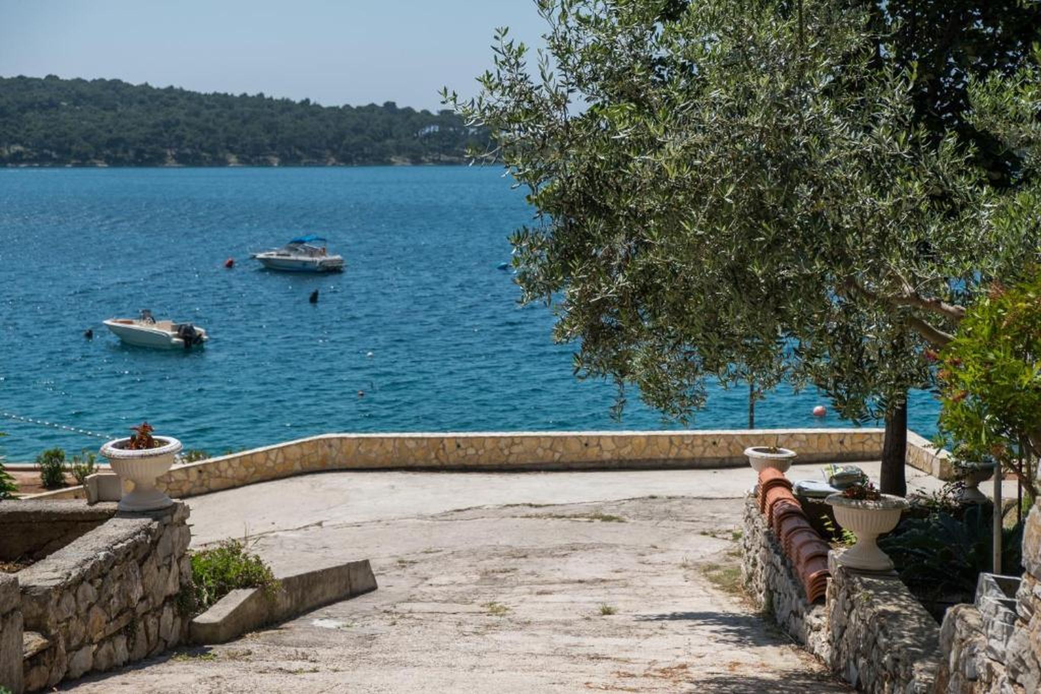 Apartments Villa Magnolia 115781-A2