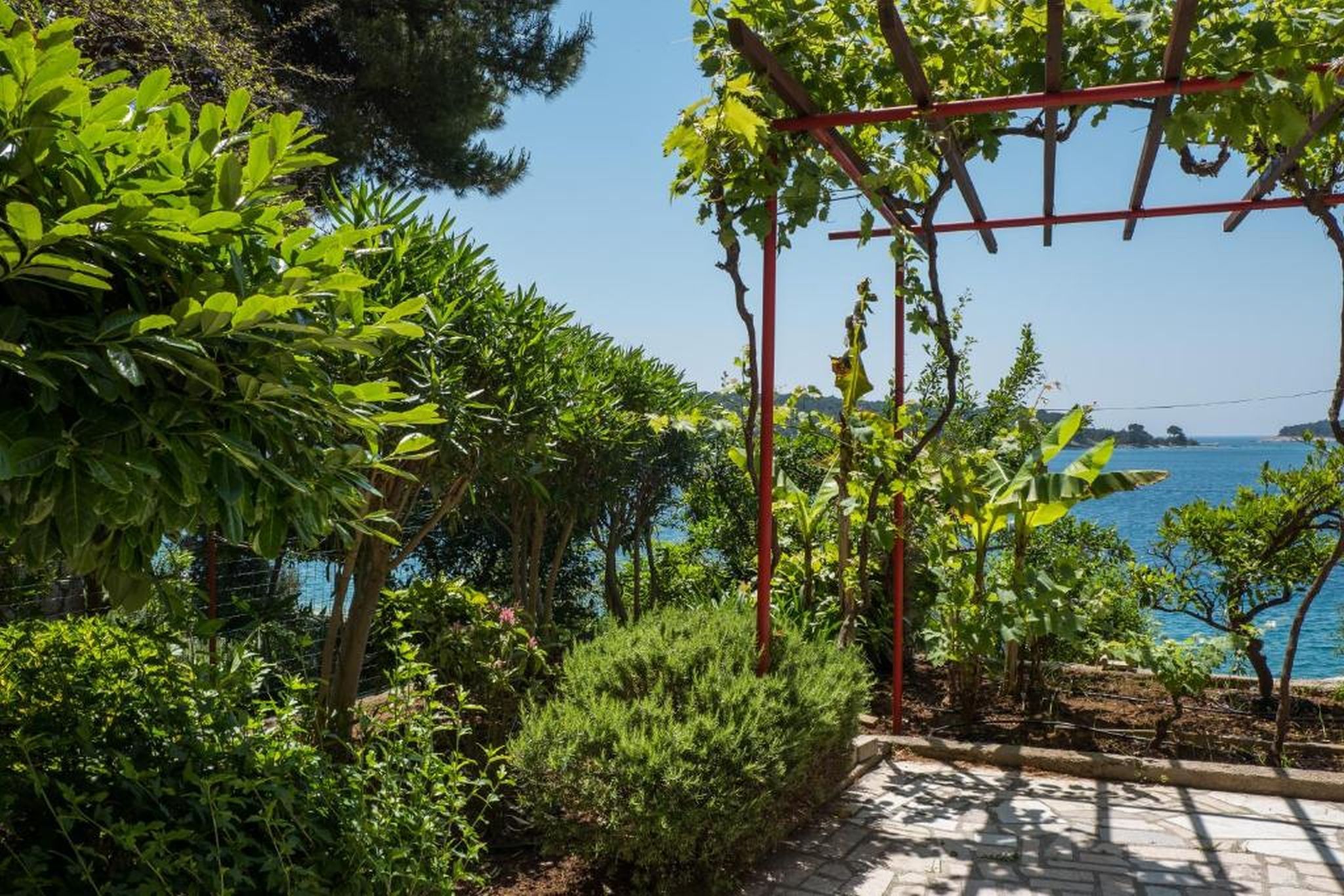 Apartments Villa Magnolia 115781-A2