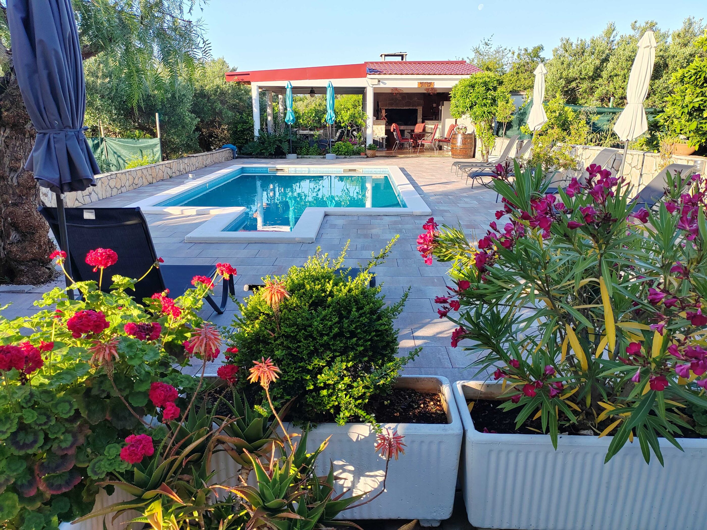 Apartments Villa Stella 115741-A3
