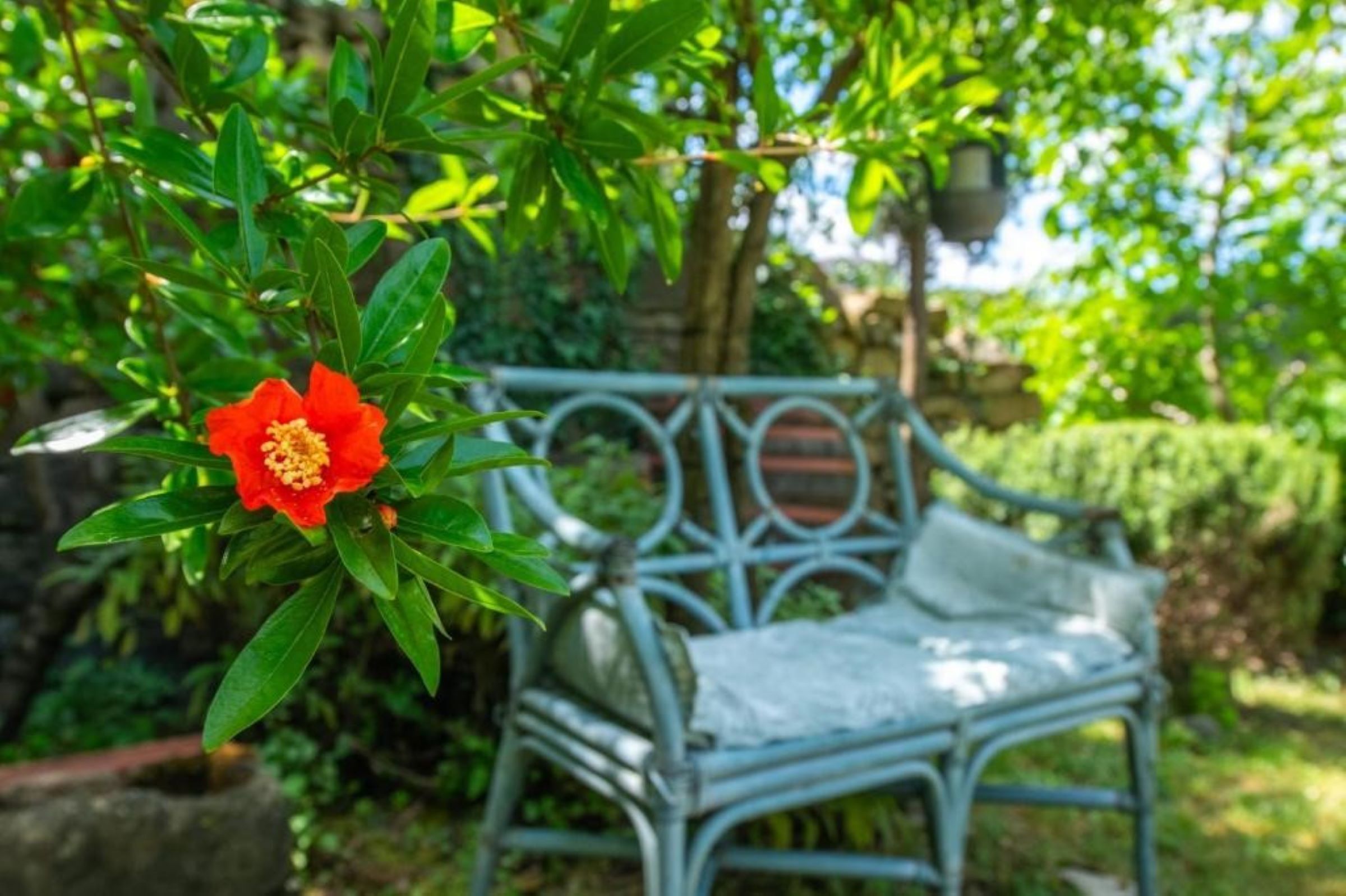 Apartment Da Lia 115651-A1