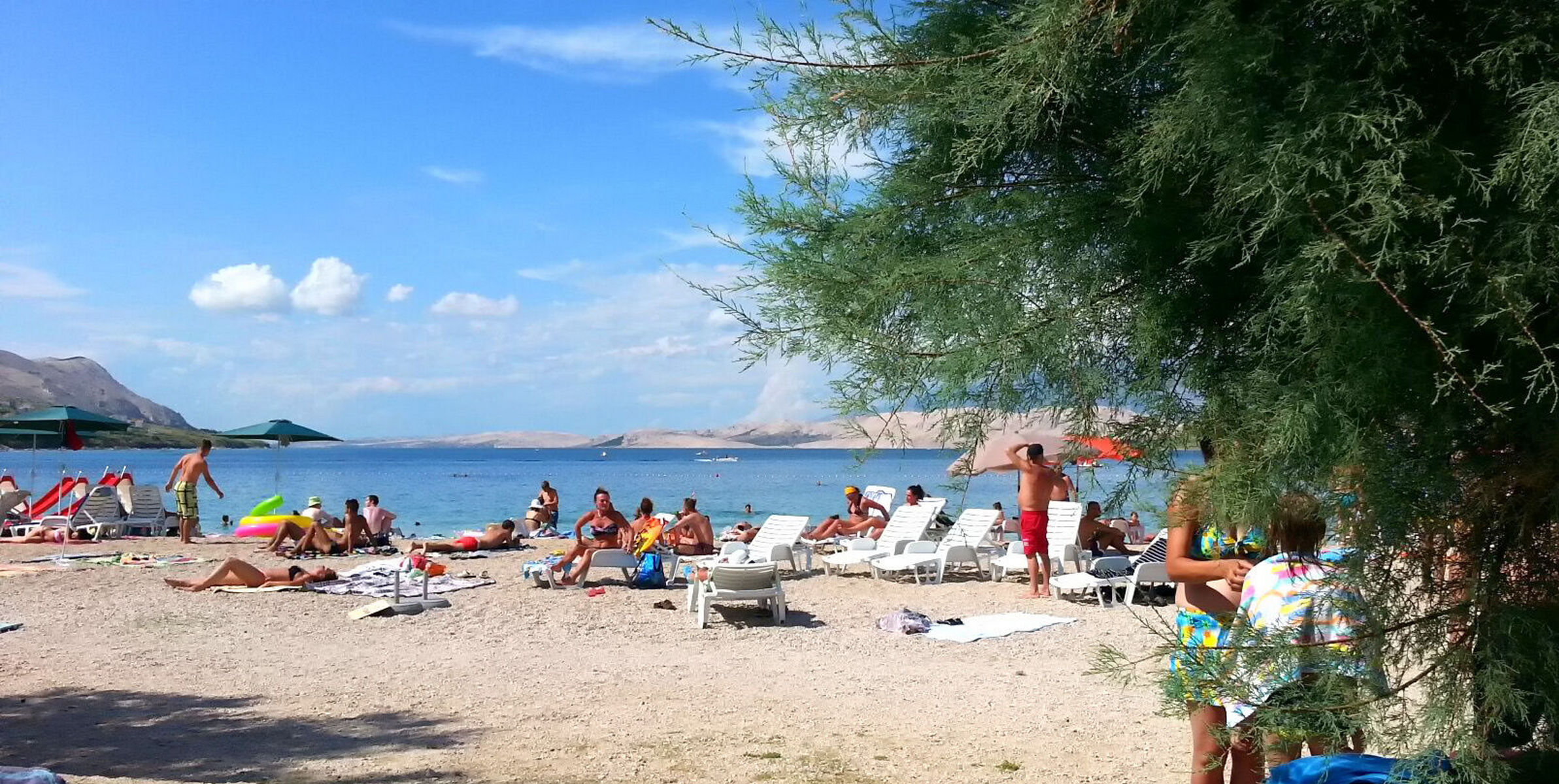 Apartmaj Dora Pag A1