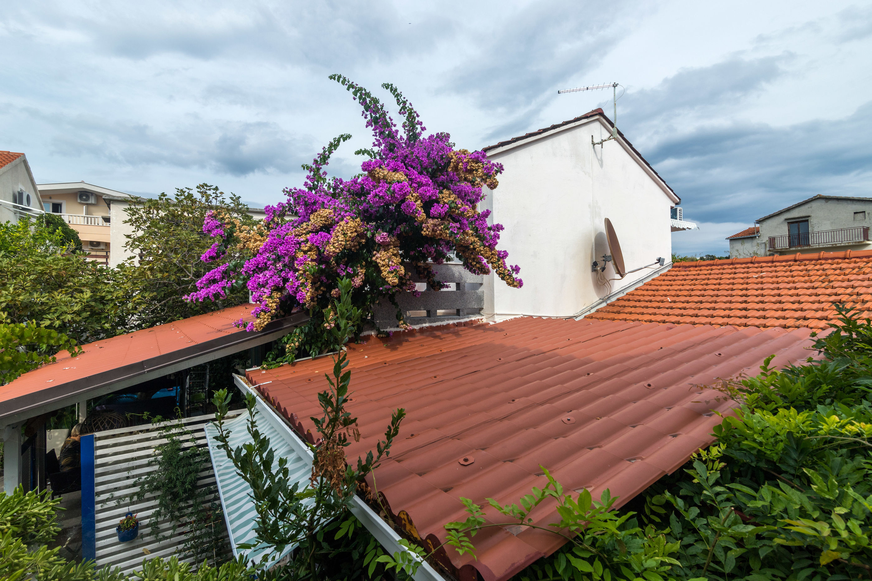 House Zeljko 10625-K1