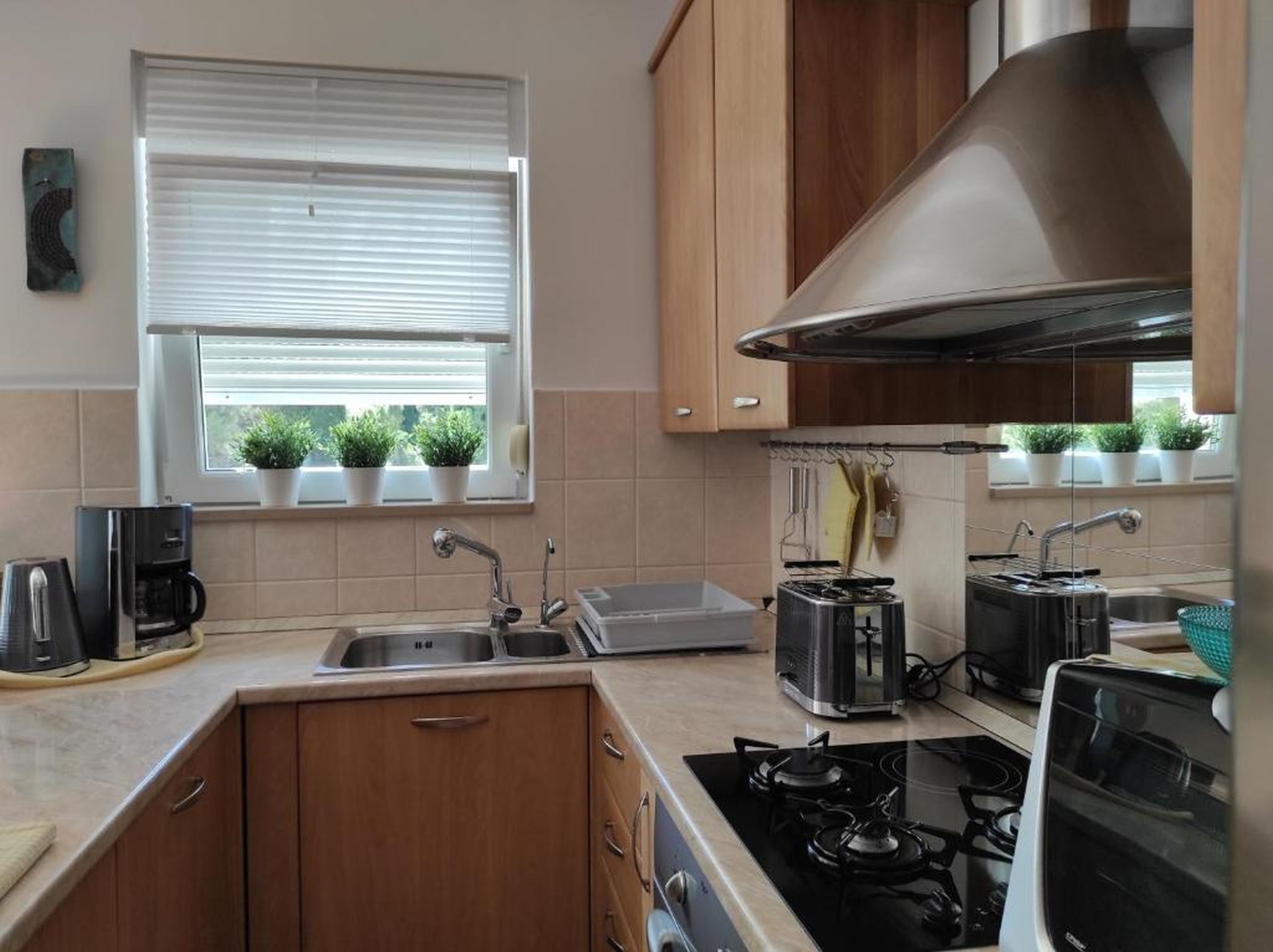Apartment Karolina 115841-A1