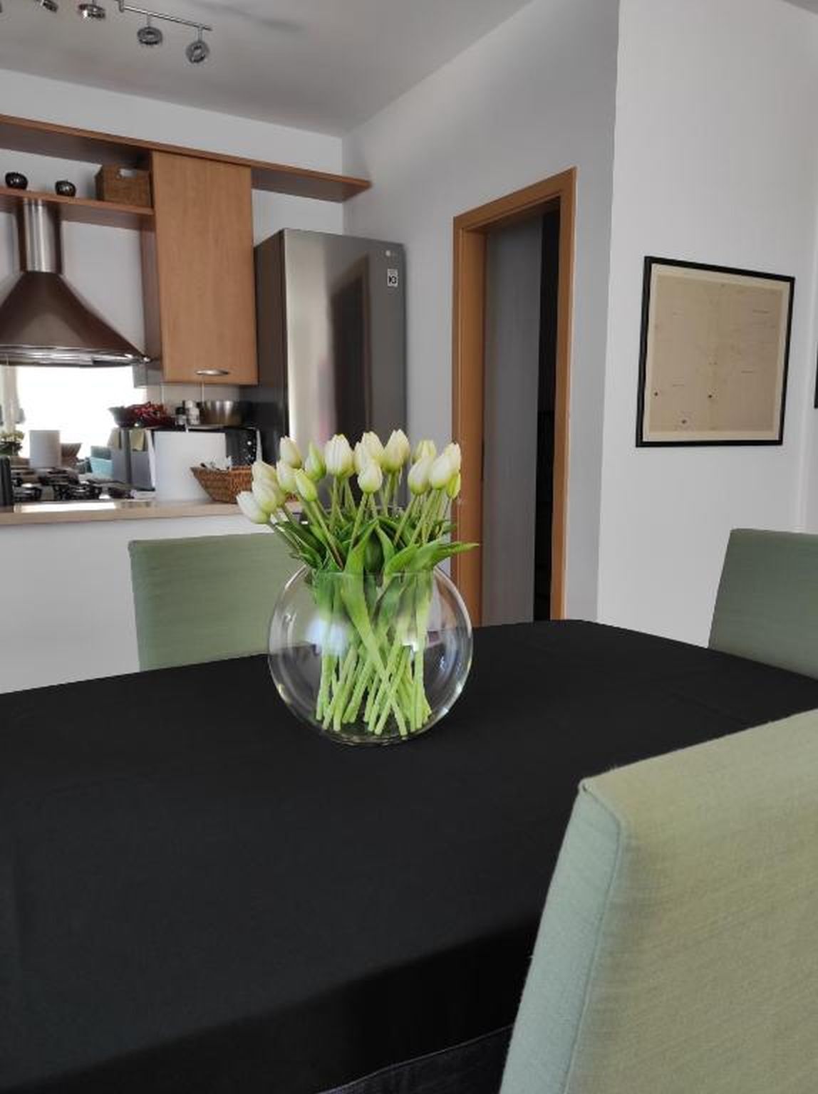 Apartment Karolina 115841-A1