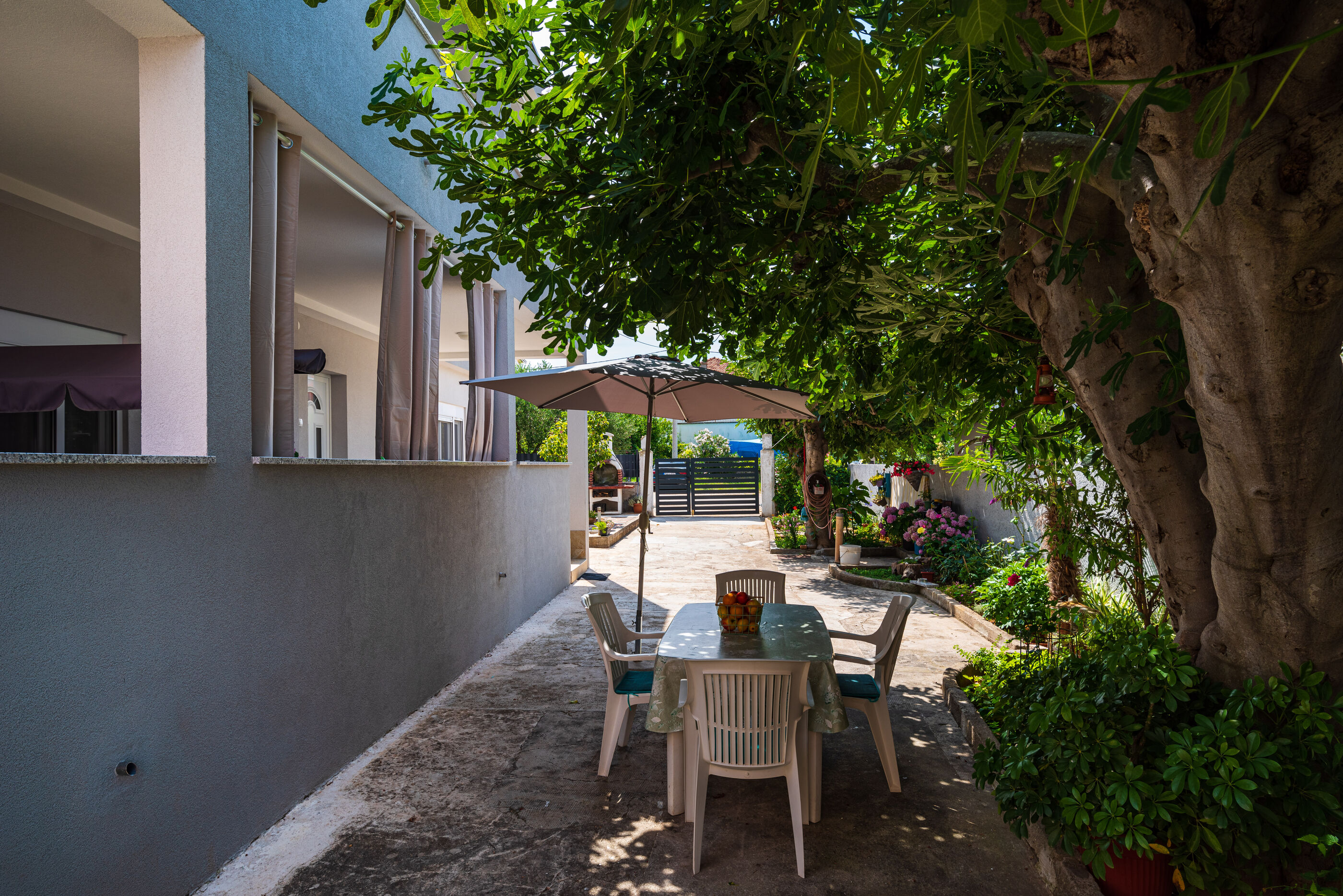 House Franica 76471-A1