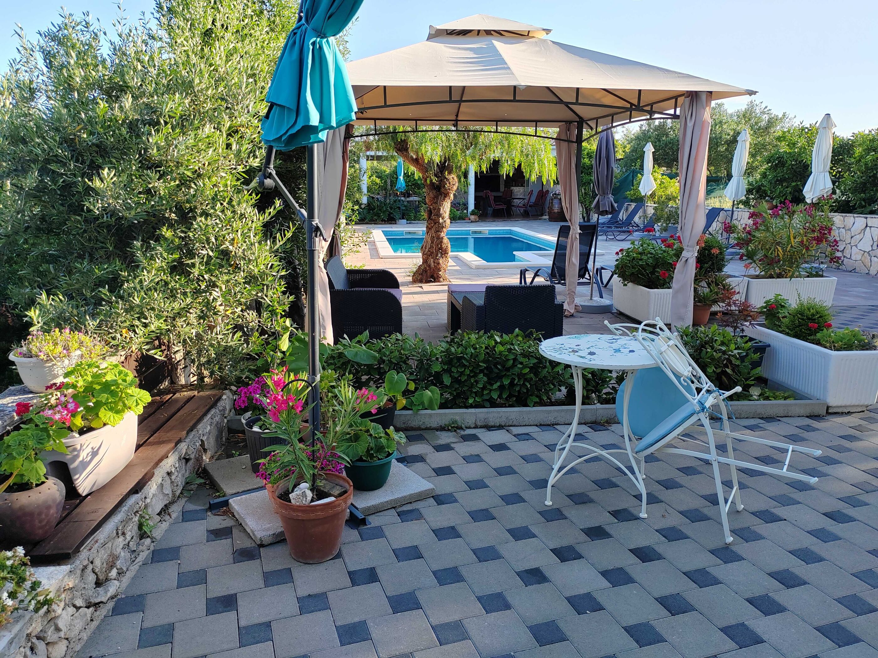 Apartments Villa Stella 115741-A3