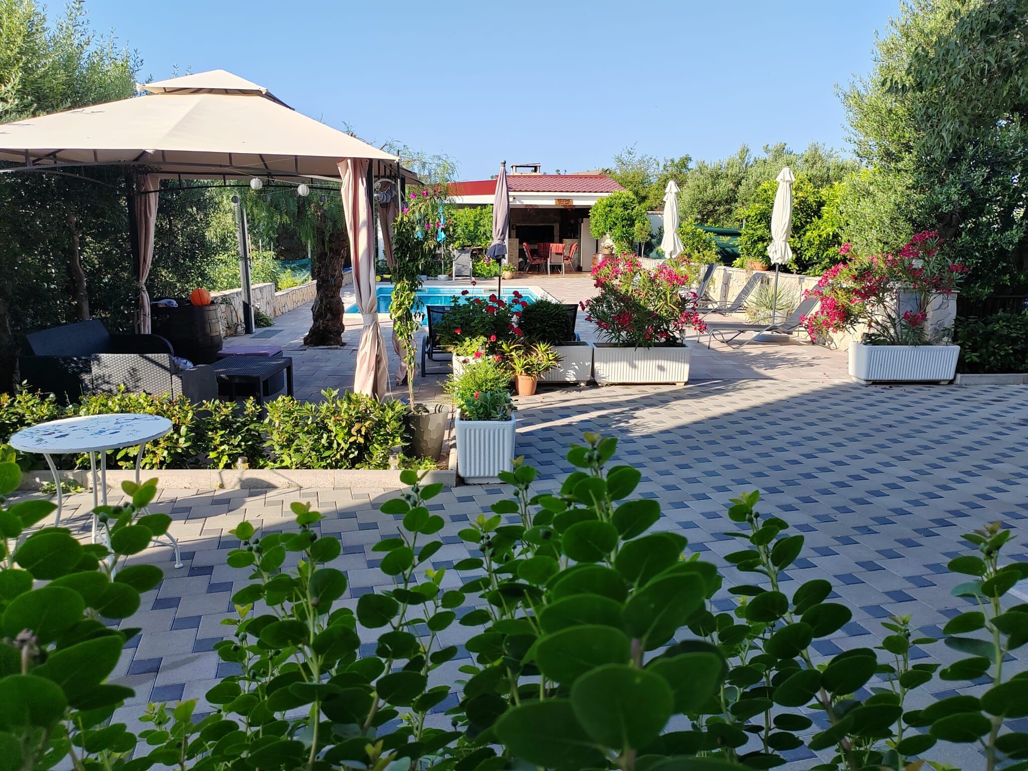 Apartments Villa Stella 115741-A3