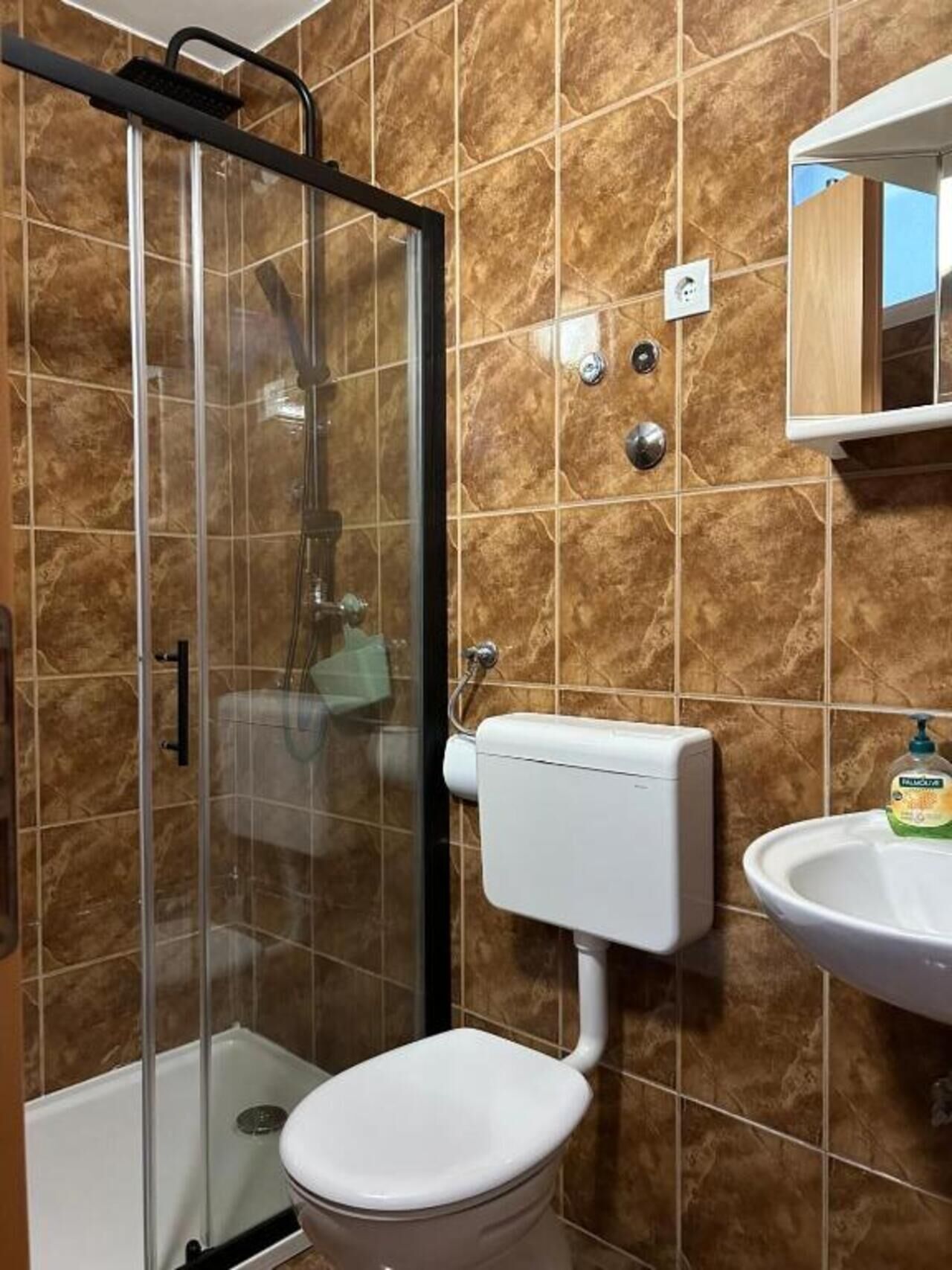 Apartments VILLA DVORSKI 77571-A4