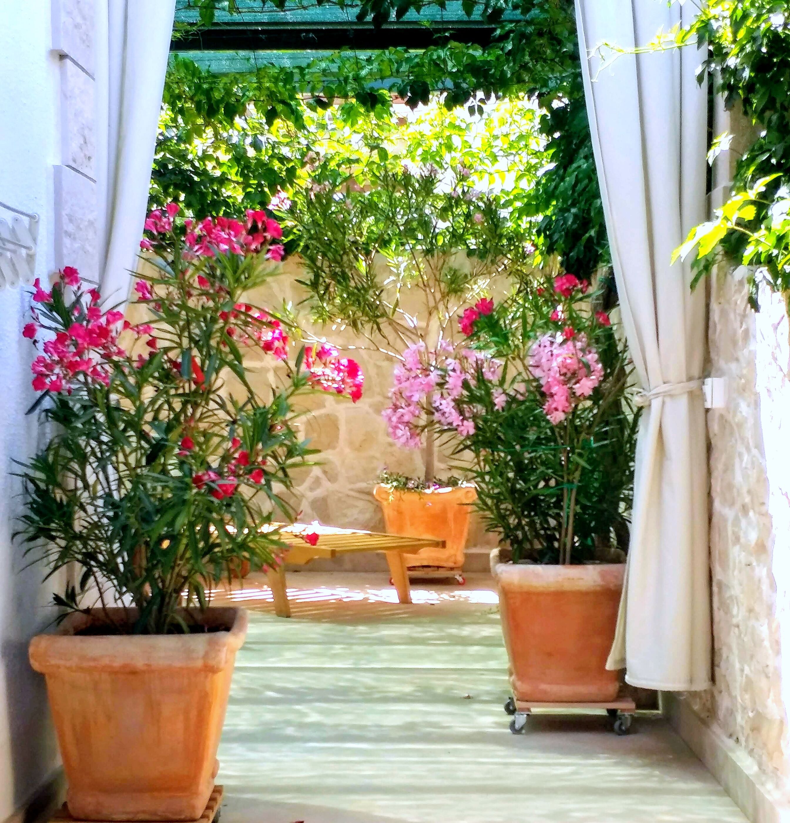 Apartment Ennio 103061-A3