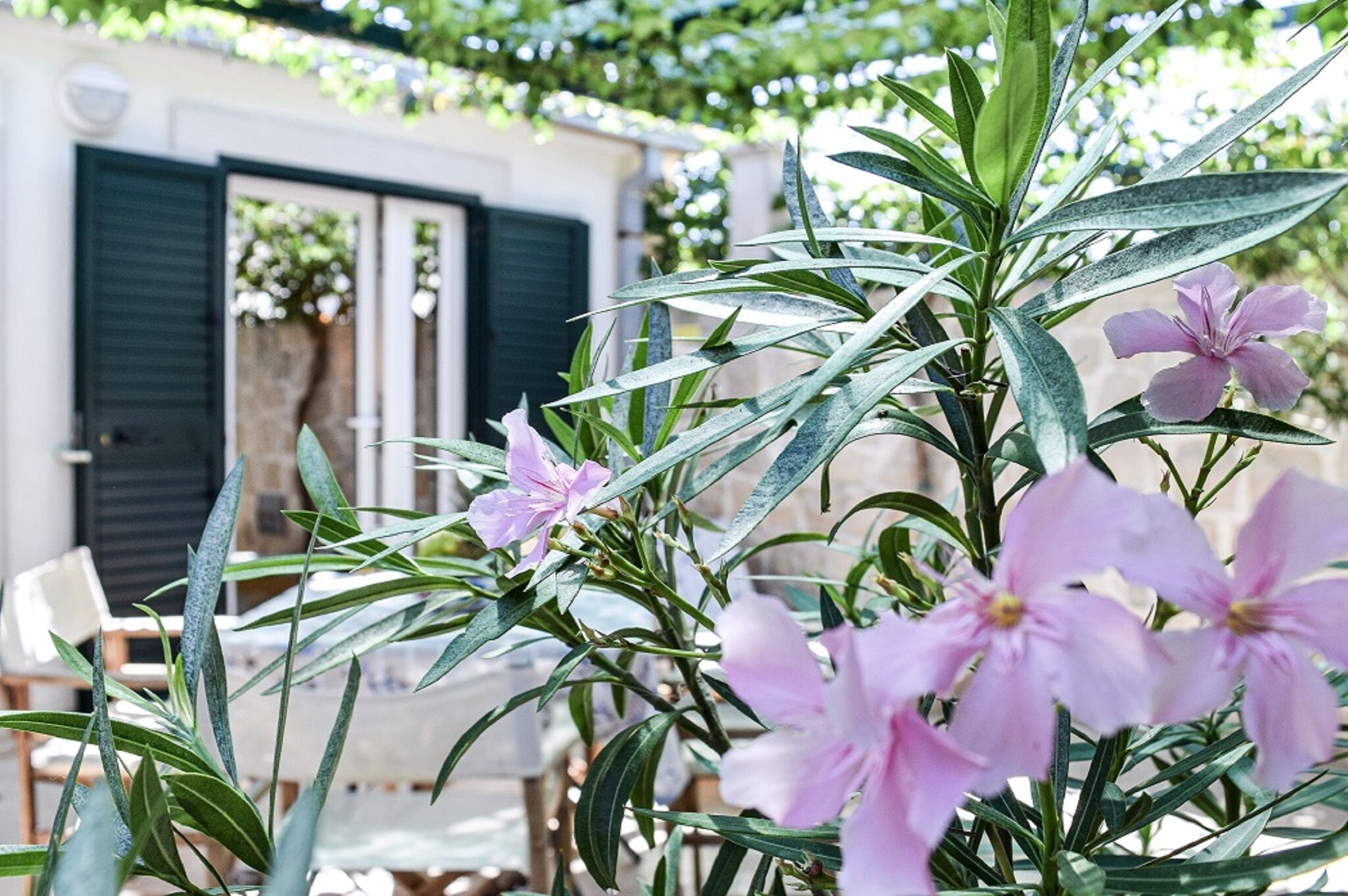 Apartment Ennio 103061-A3