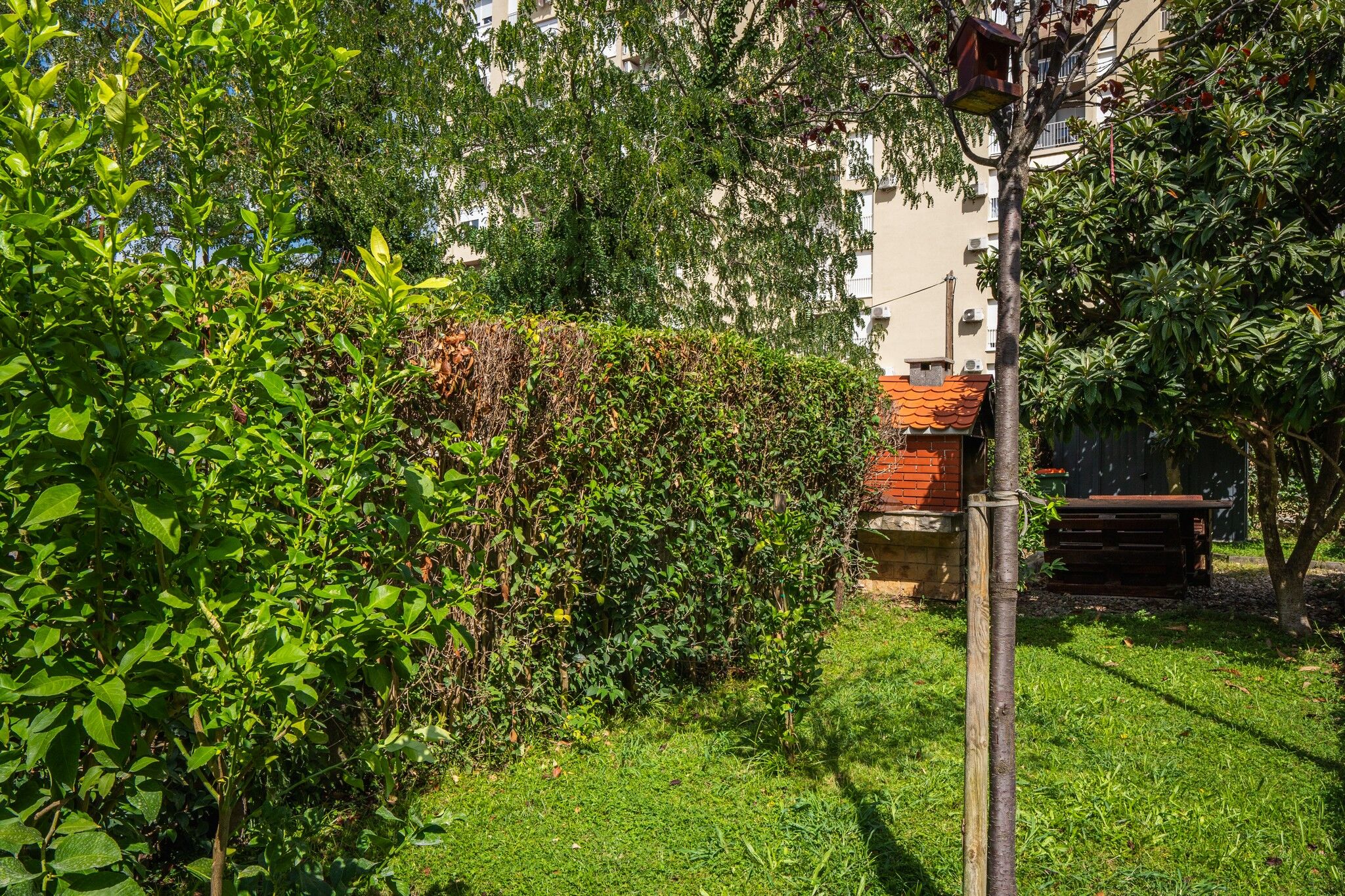 Photo of Apartments Wishing Well & Four seasons