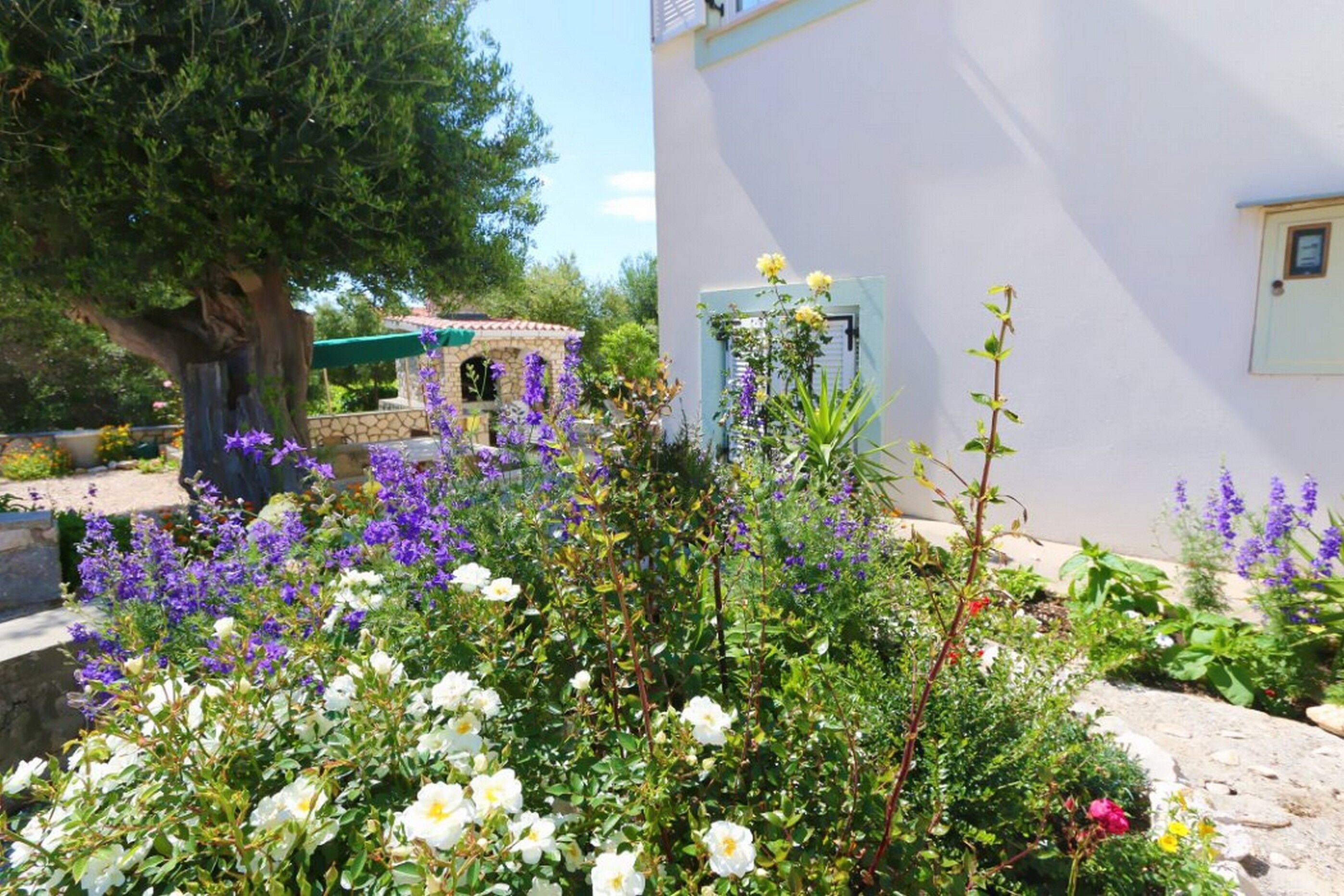 Apartments Vacation Jakisnica 115871-A3