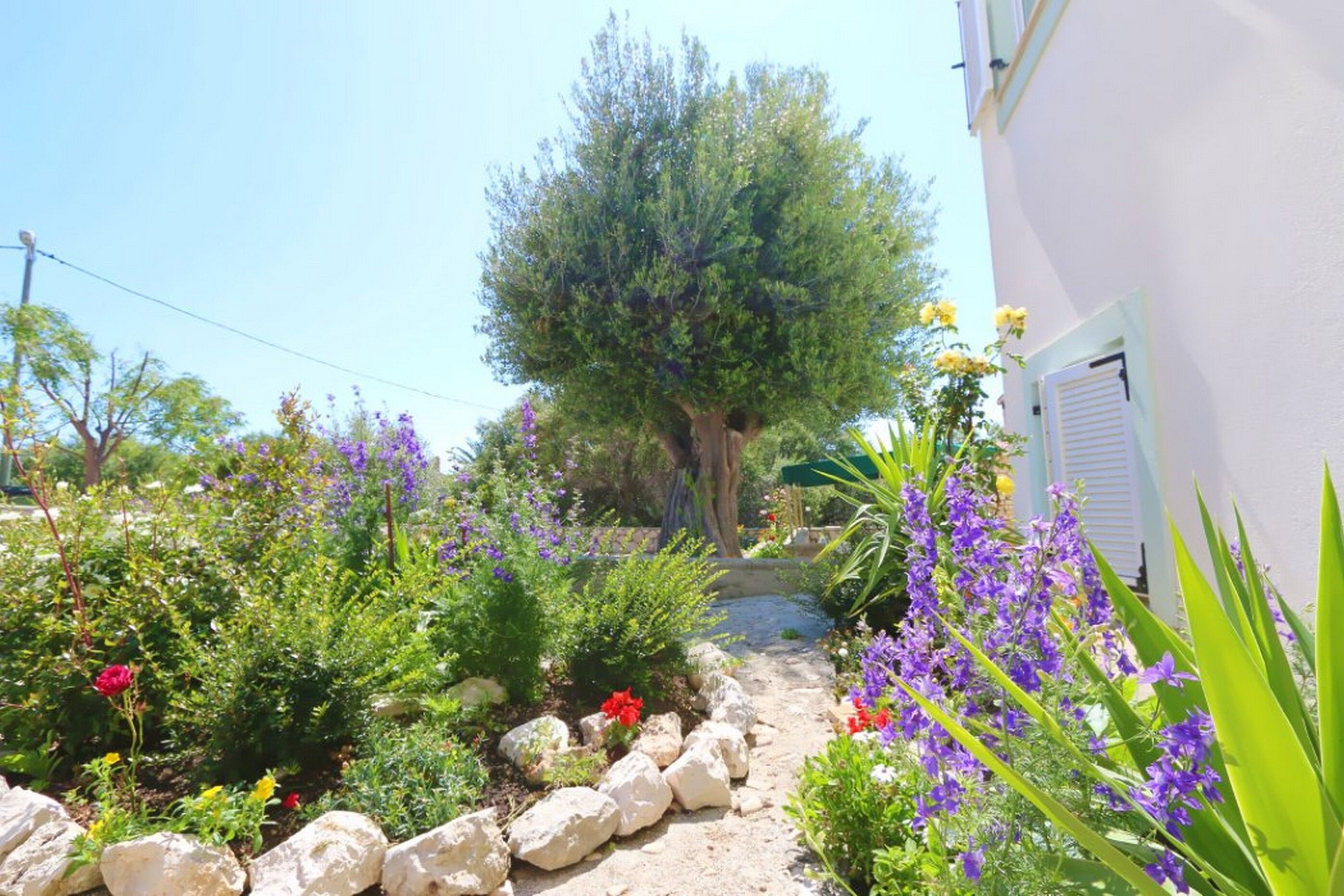 Apartments Vacation Jakisnica 115871-A3