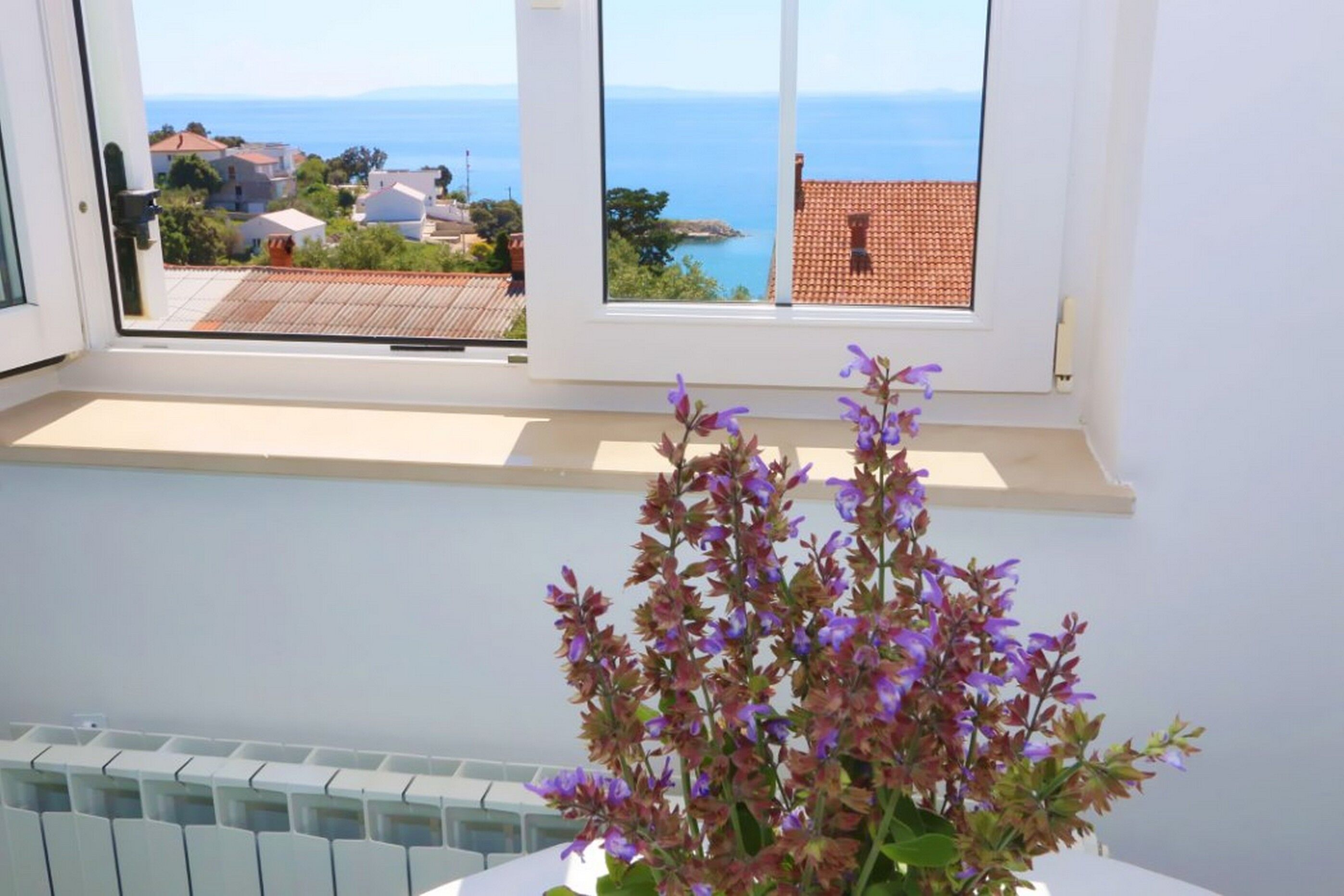 Apartments Vacation Jakisnica 115871-A2