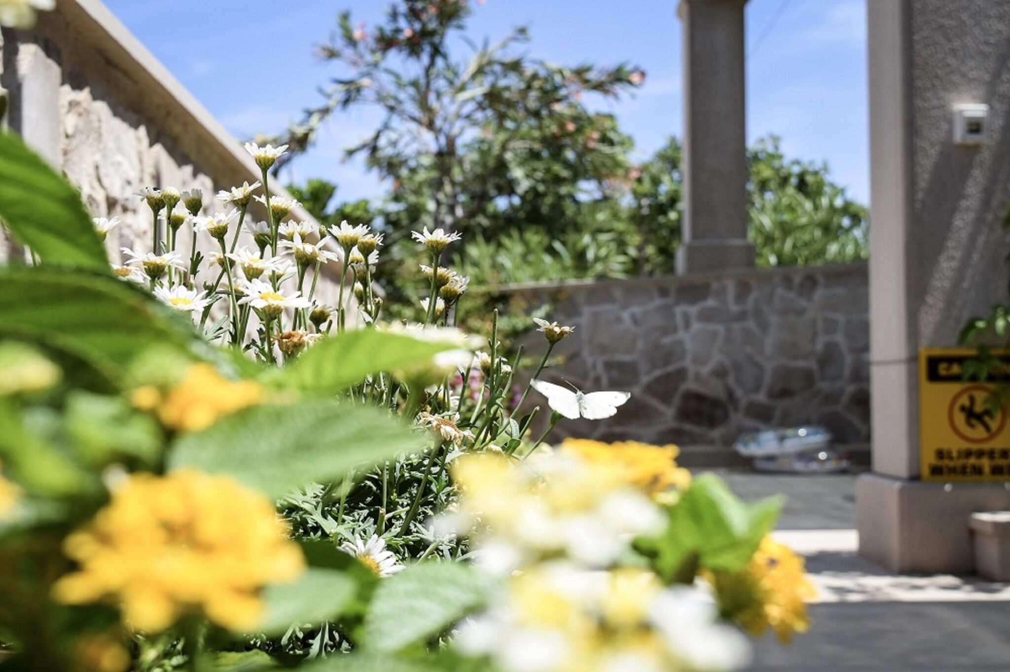 Apartment Ennio 103061-A2