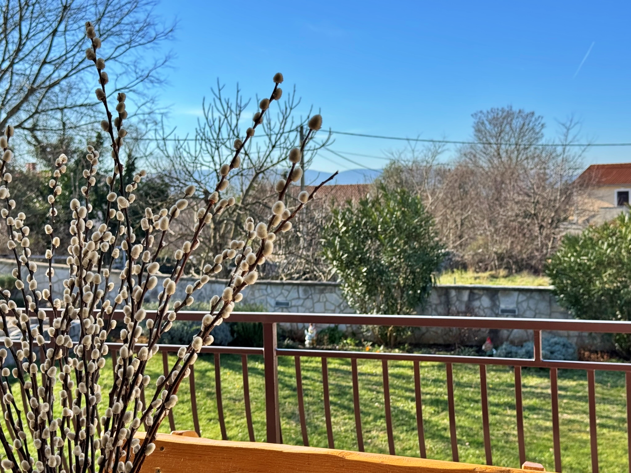 Apartments PAVLE 63775-A1