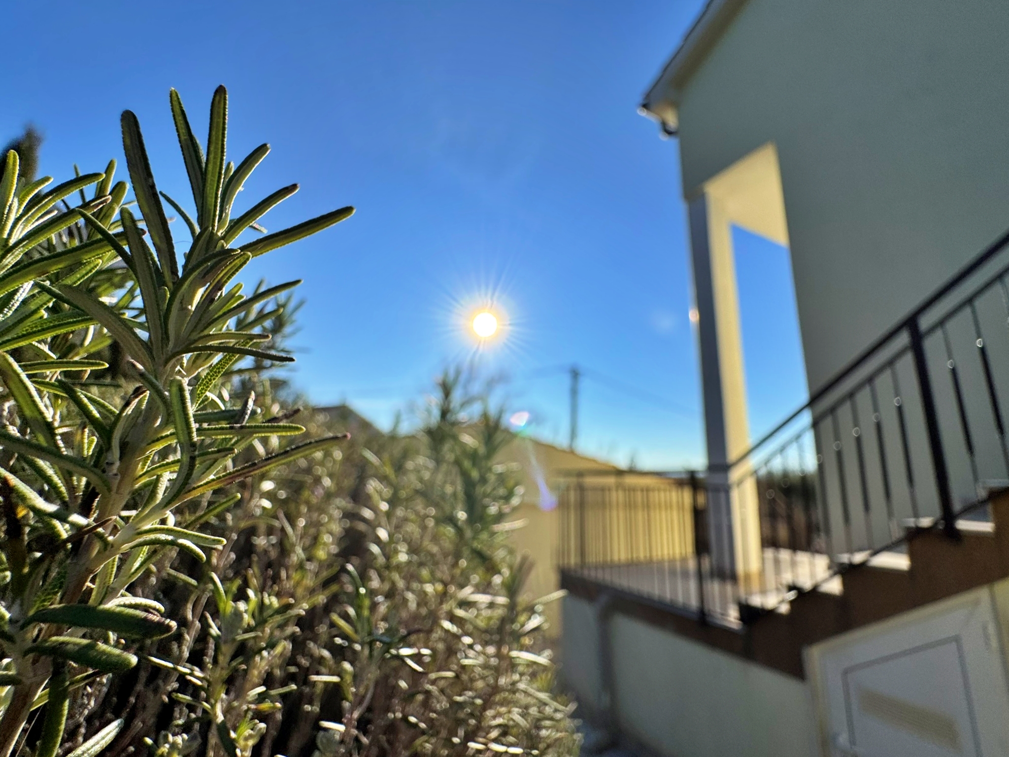 Apartments PAVLE 63775-A3