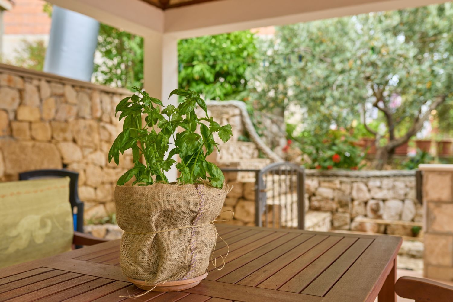 Apartments Hansal A2