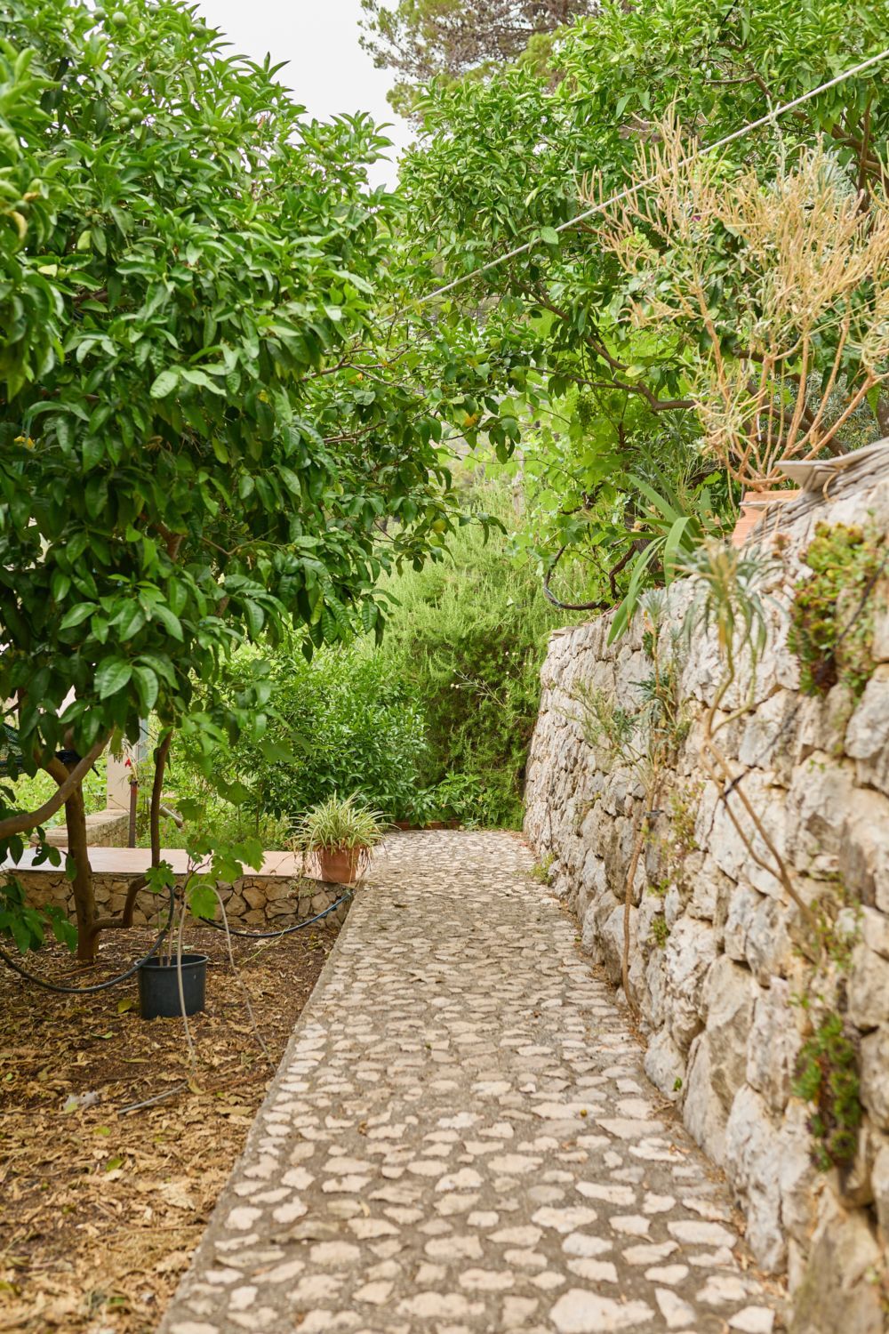 Apartments Hansal A5