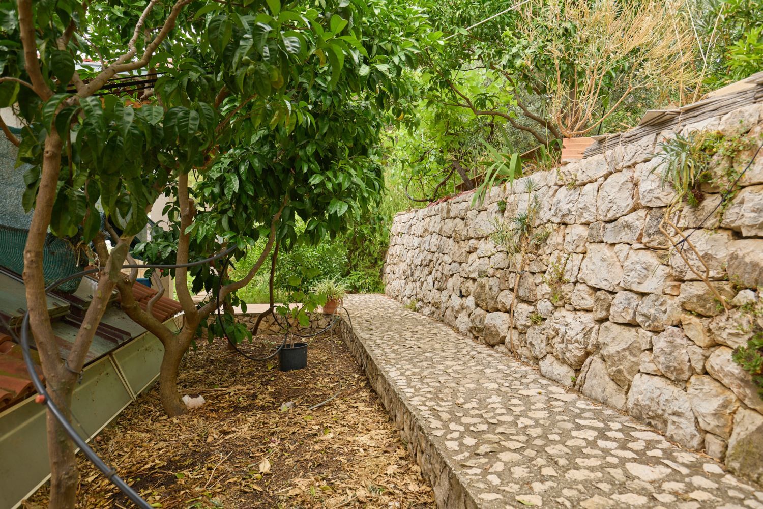 Apartments Hansal A5